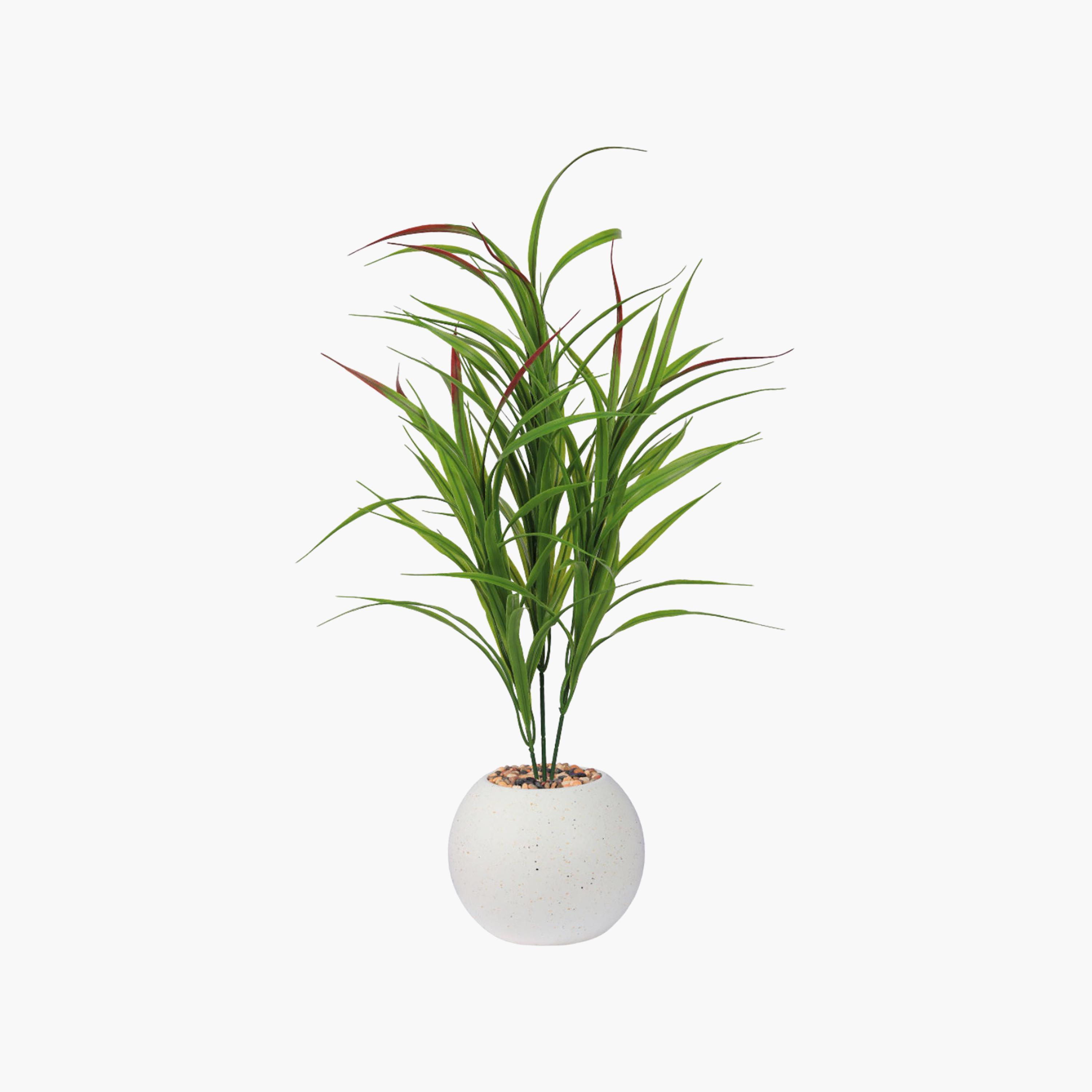 نبتة كوردلين صناعية بأصيص من ماريا هومز-household-gardenandoutdoor-artificialflowersandplants-flowers-image-2