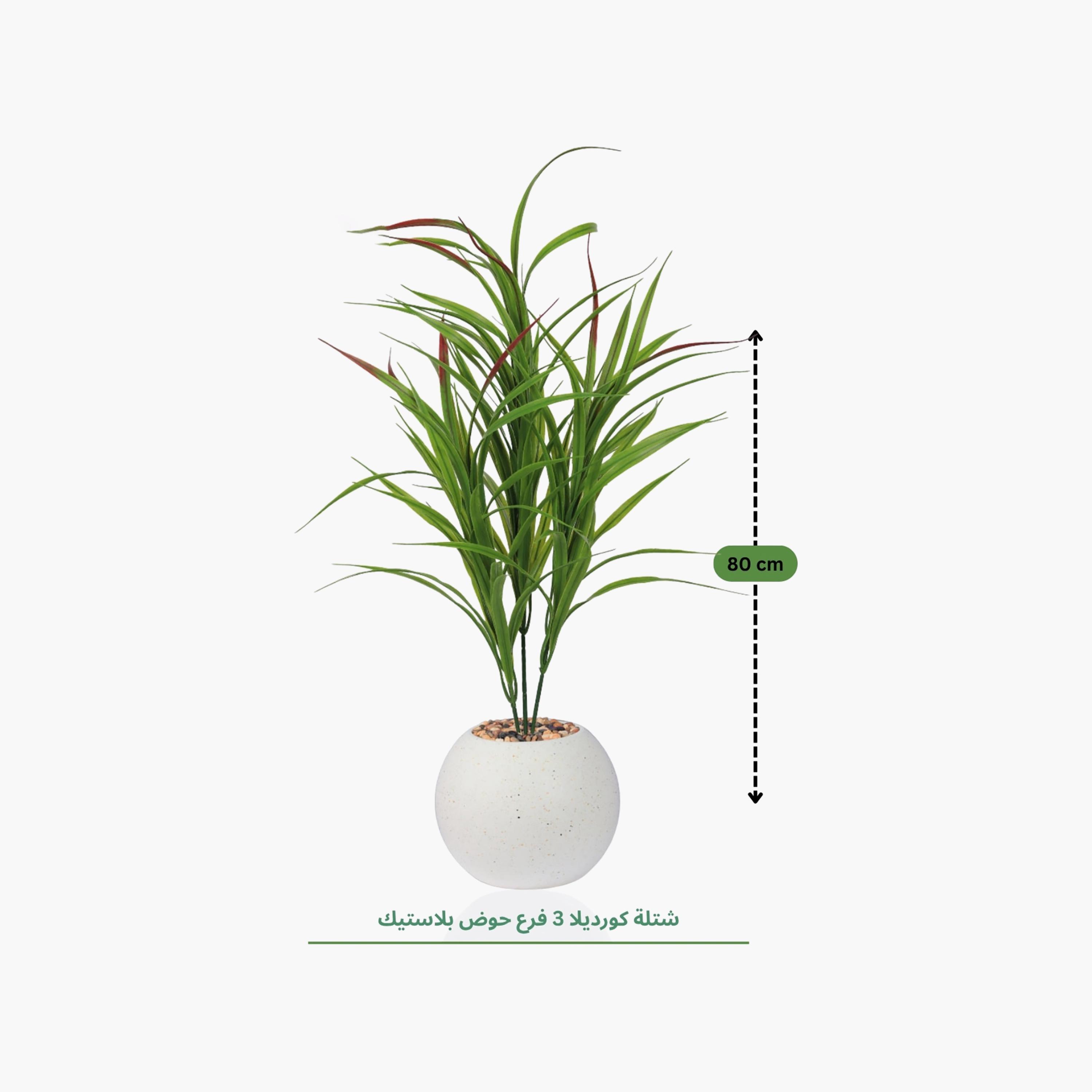 نبتة كوردلين صناعية بأصيص من ماريا هومز-household-gardenandoutdoor-artificialflowersandplants-flowers-image-4