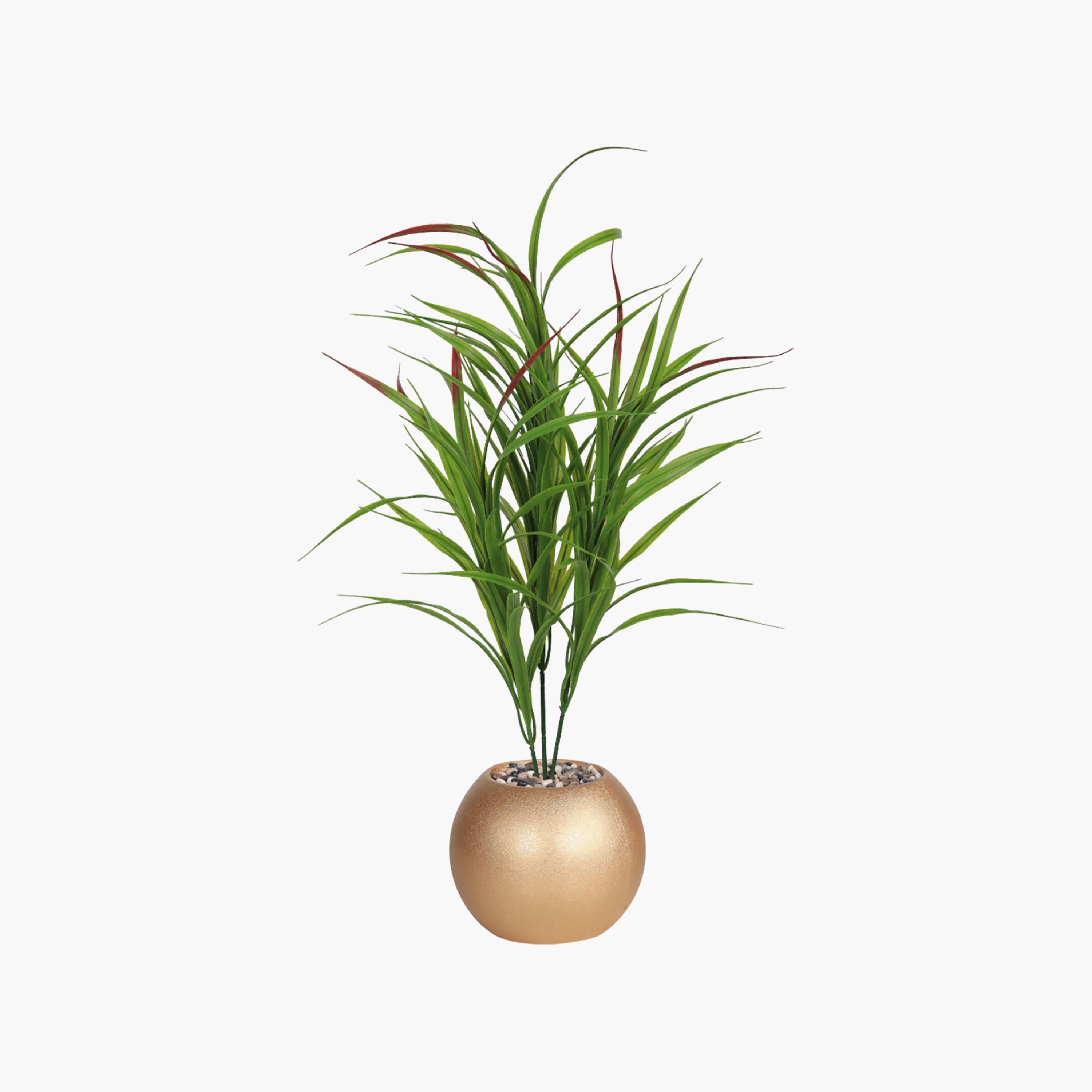 نبتة كوردلين صناعية بأصيص من ماريا هومز-household-gardenandoutdoor-artificialflowersandplants-flowers-image-2