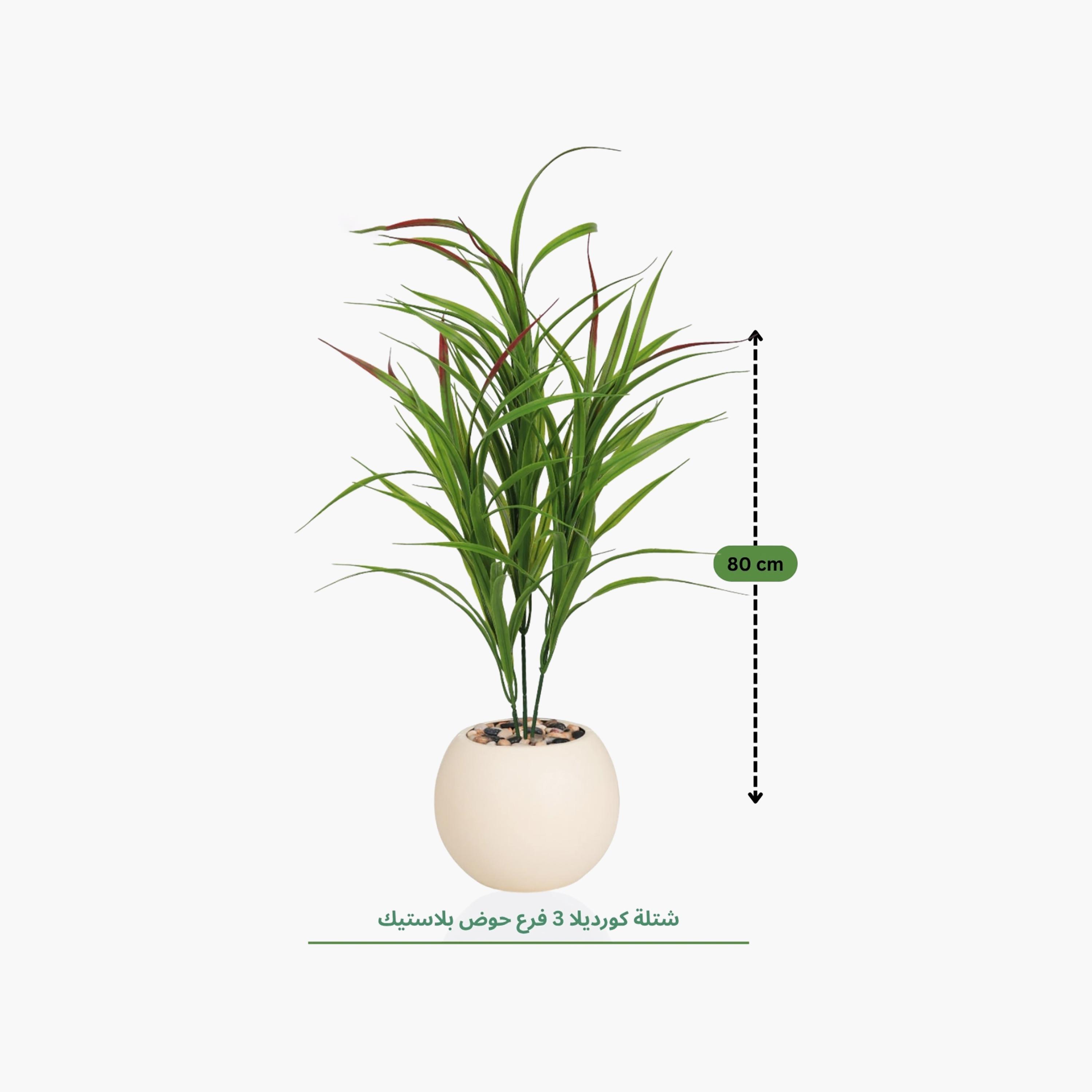 نبتة كوردلين صناعية بأصيص من ماريا هومز-household-gardenandoutdoor-artificialflowersandplants-flowers-image-4
