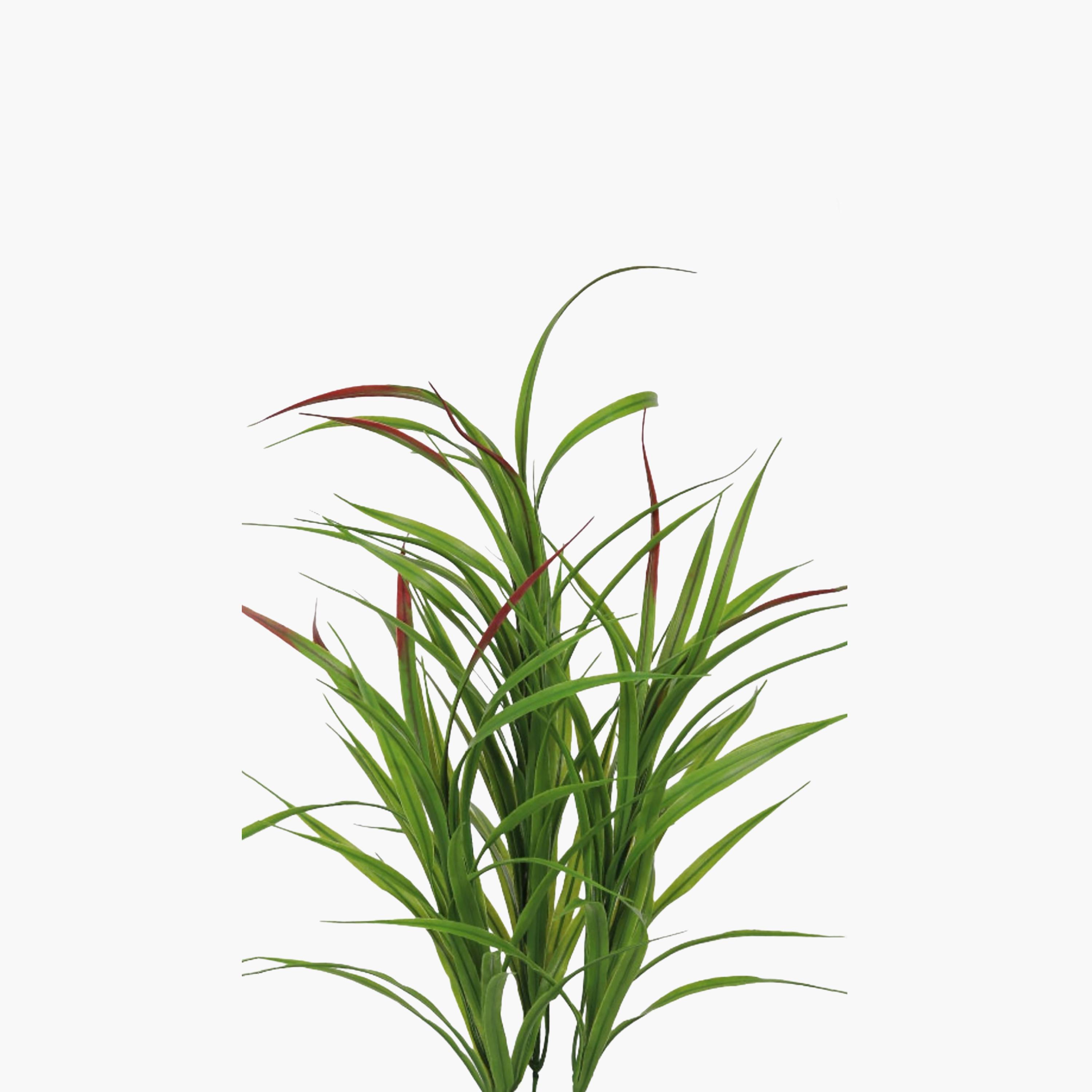 Maria Homes Potted Artificial Cordyline Plant-household-gardenandoutdoor-artificialflowersandplants-flowers-image-3