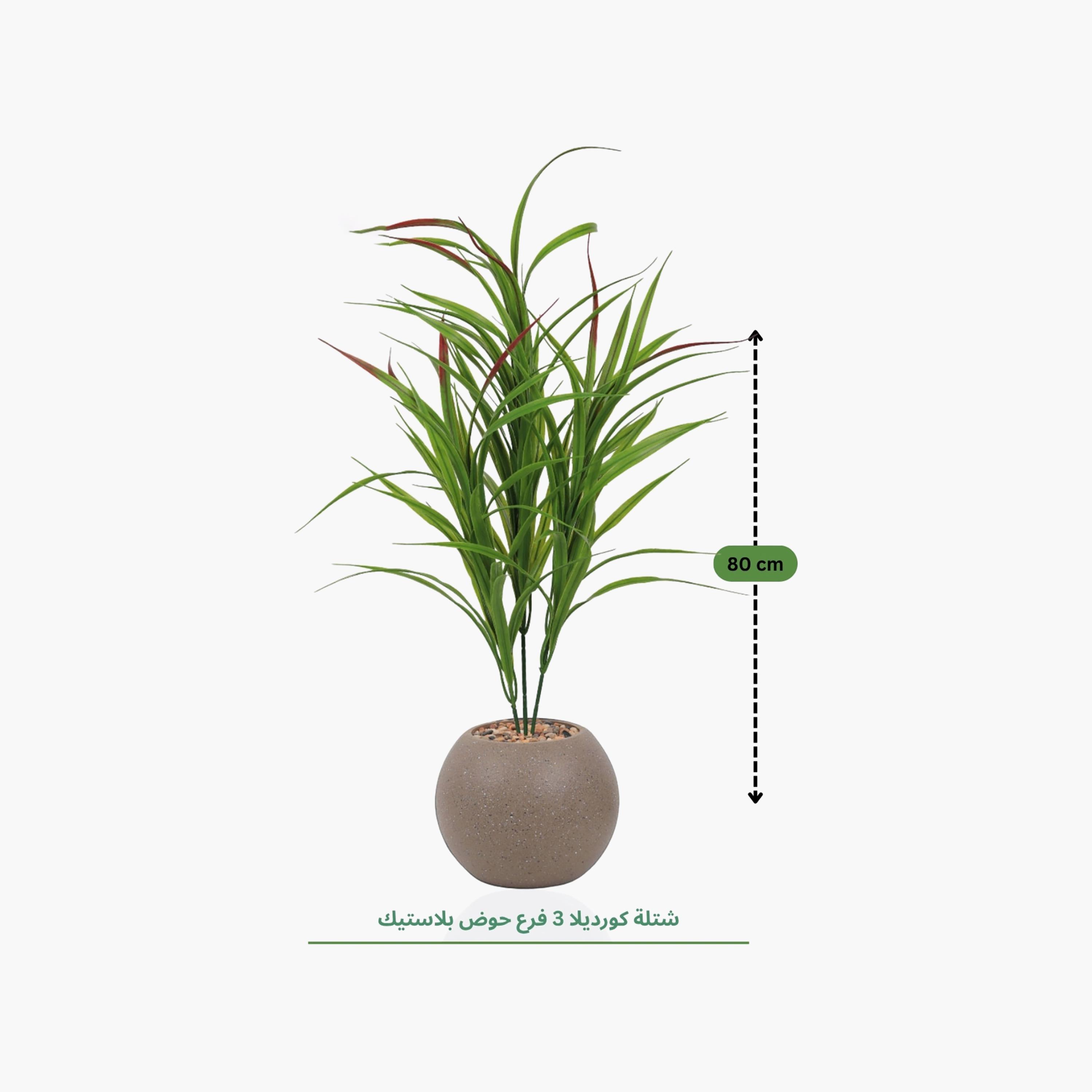 Maria Homes Potted Artificial Cordyline Plant-household-gardenandoutdoor-artificialflowersandplants-flowers-image-4