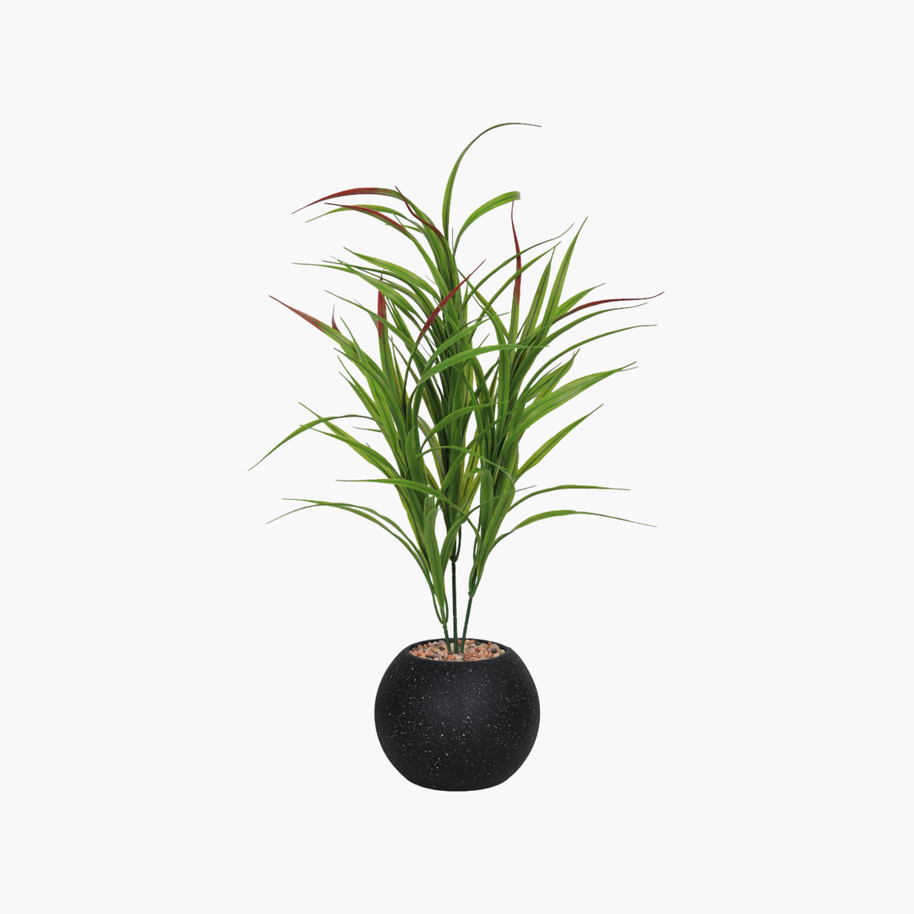 Maria Homes Potted Artificial Cordyline Plant-household-gardenandoutdoor-artificialflowersandplants-flowers-image-2