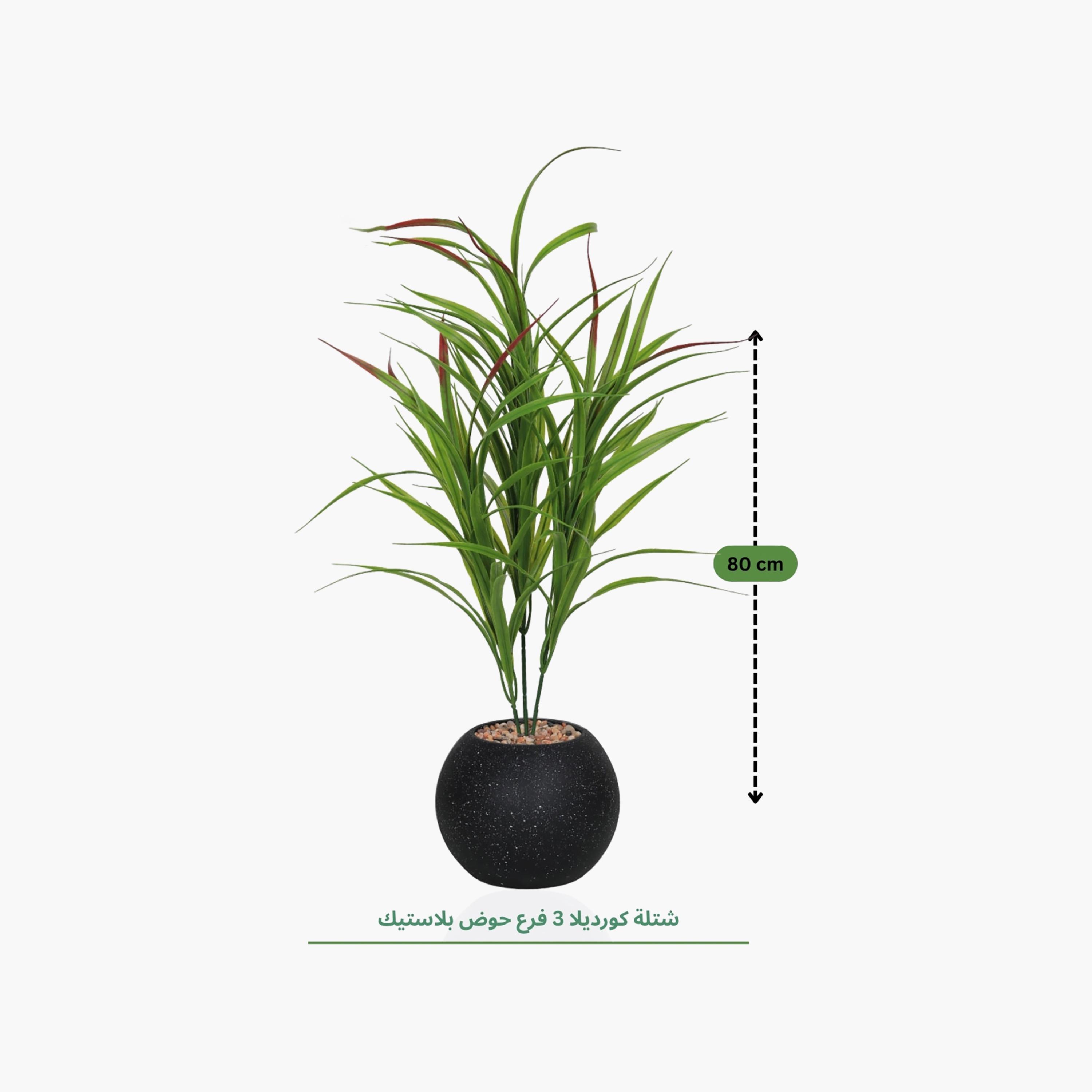 Maria Homes Potted Artificial Cordyline Plant-household-gardenandoutdoor-artificialflowersandplants-flowers-image-4