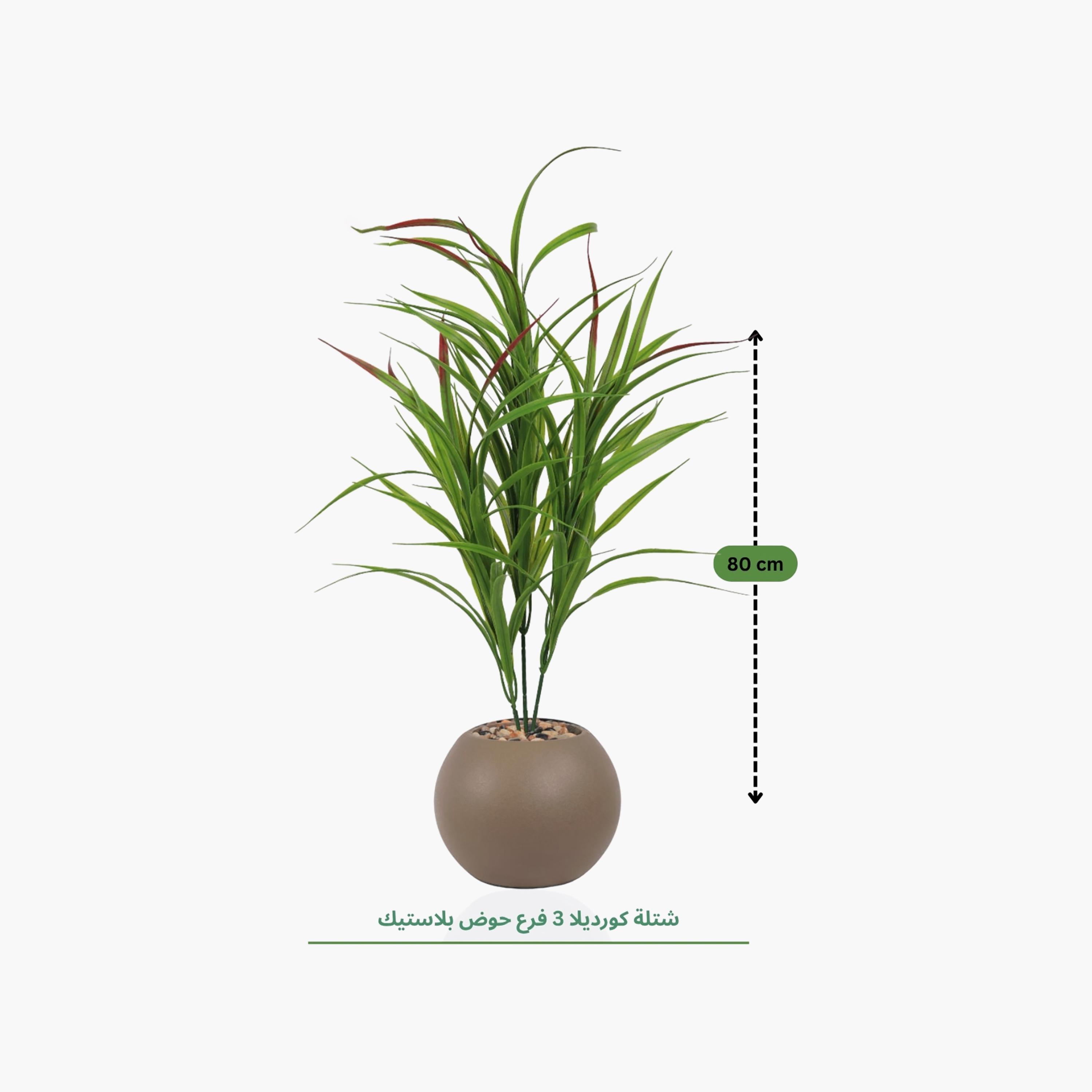 Maria Homes Potted Artificial Cordyline Plant-household-gardenandoutdoor-artificialflowersandplants-flowers-image-4