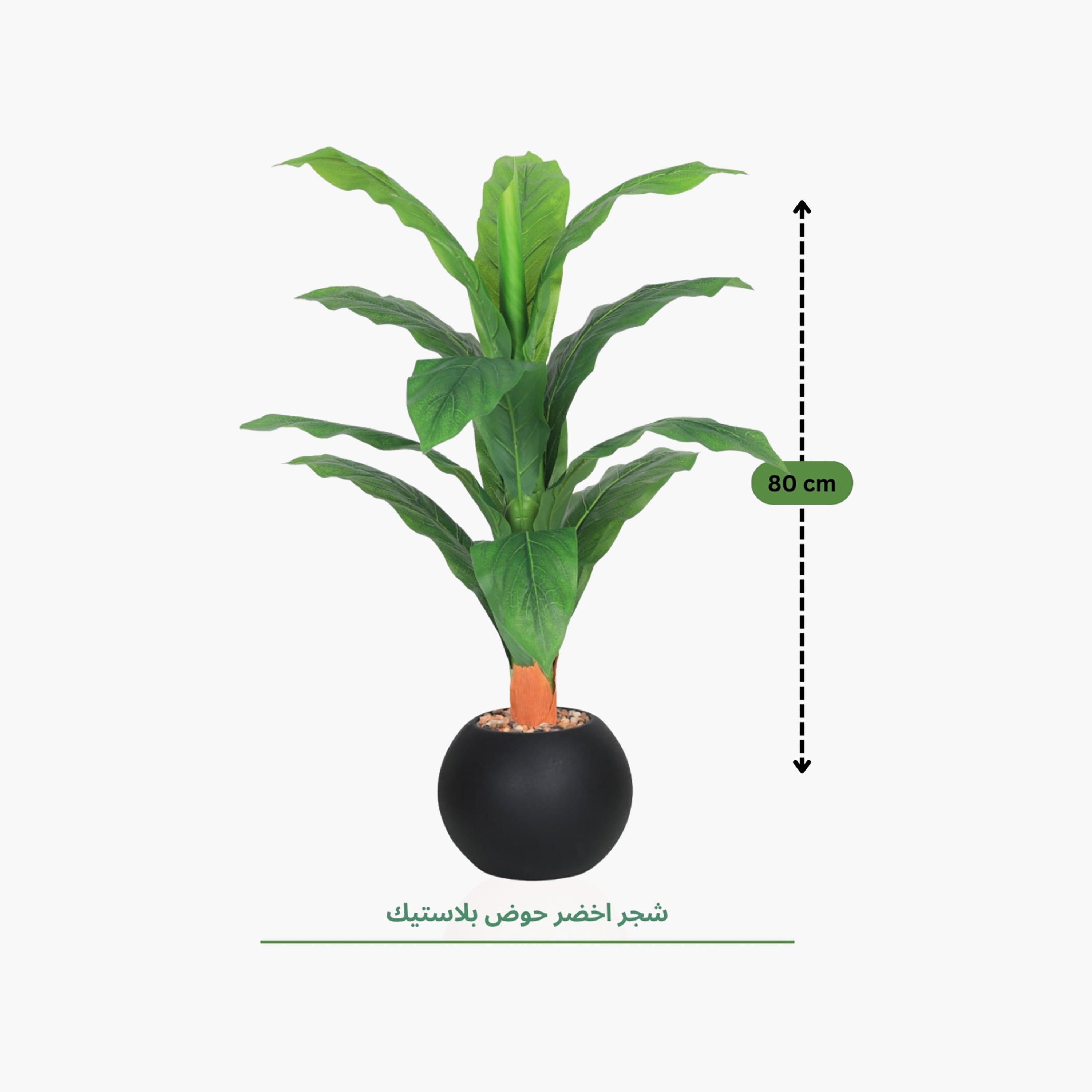 Maria Homes Potted Artificial Leaf Plant-household-gardenandoutdoor-artificialflowersandplants-flowers-image-4
