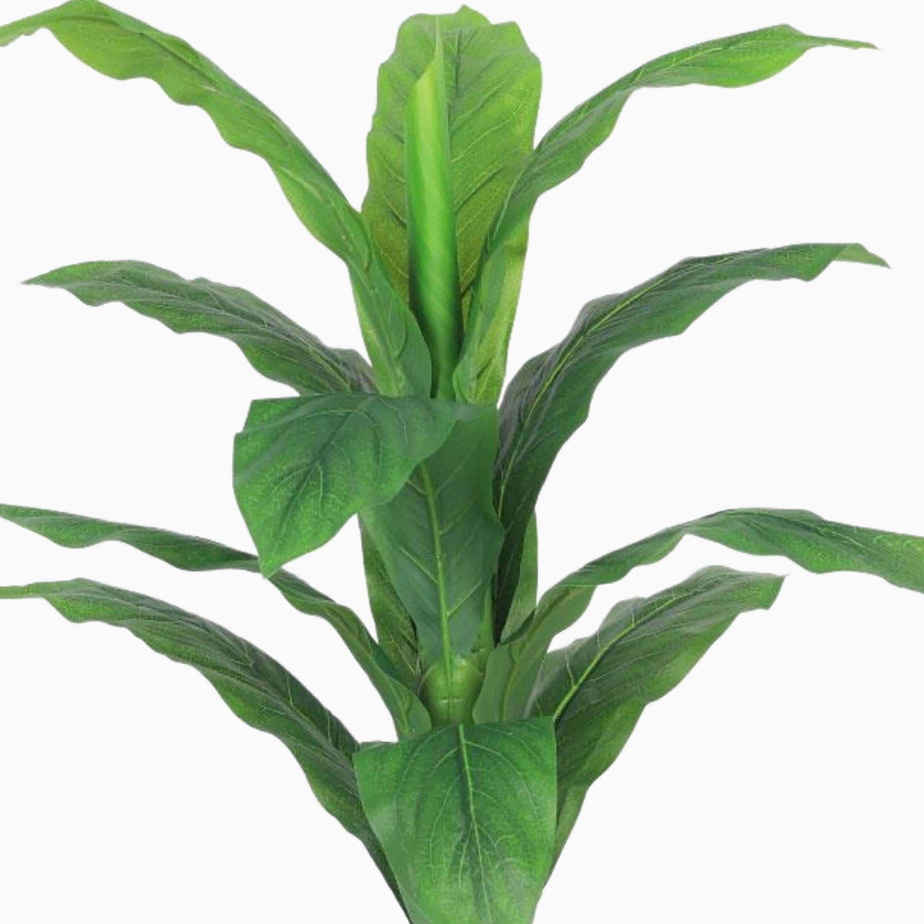 Maria Homes Potted Artificial Leaf Plant-household-gardenandoutdoor-artificialflowersandplants-flowers-image-3