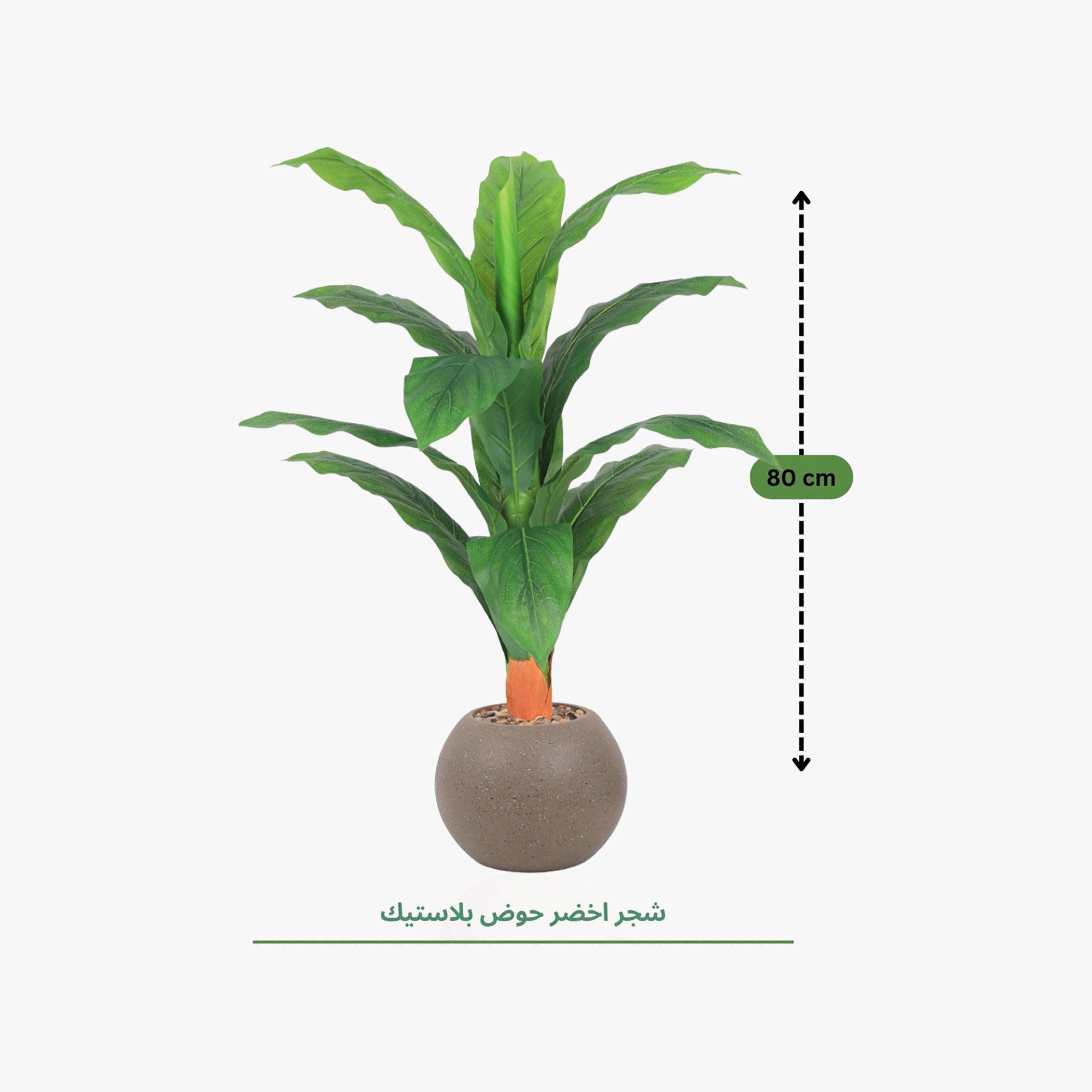 Maria Homes Potted Artificial Leaf Plant-household-gardenandoutdoor-artificialflowersandplants-flowers-image-4