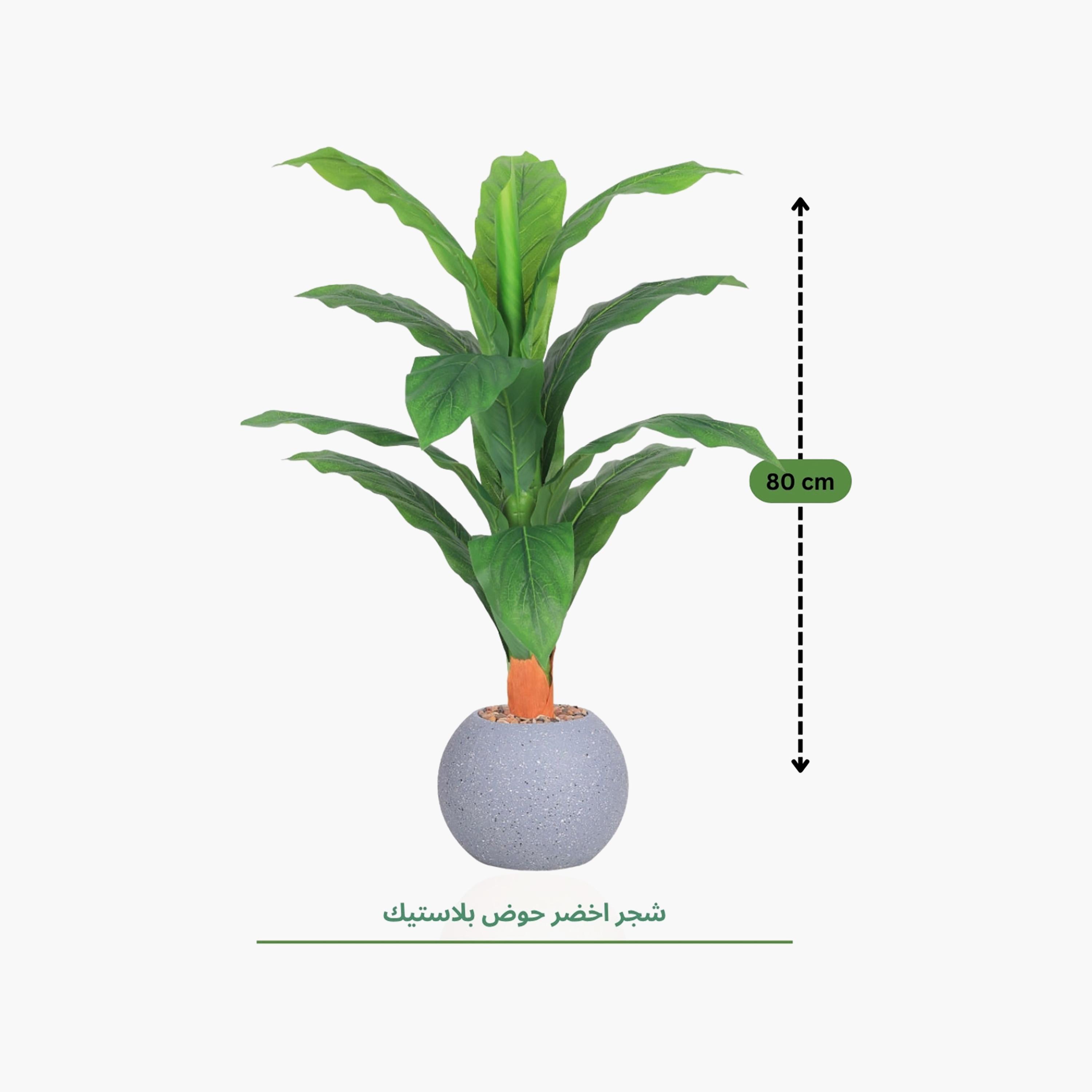 Maria Homes Potted Artificial Leaf Plant-household-gardenandoutdoor-artificialflowersandplants-flowers-image-4