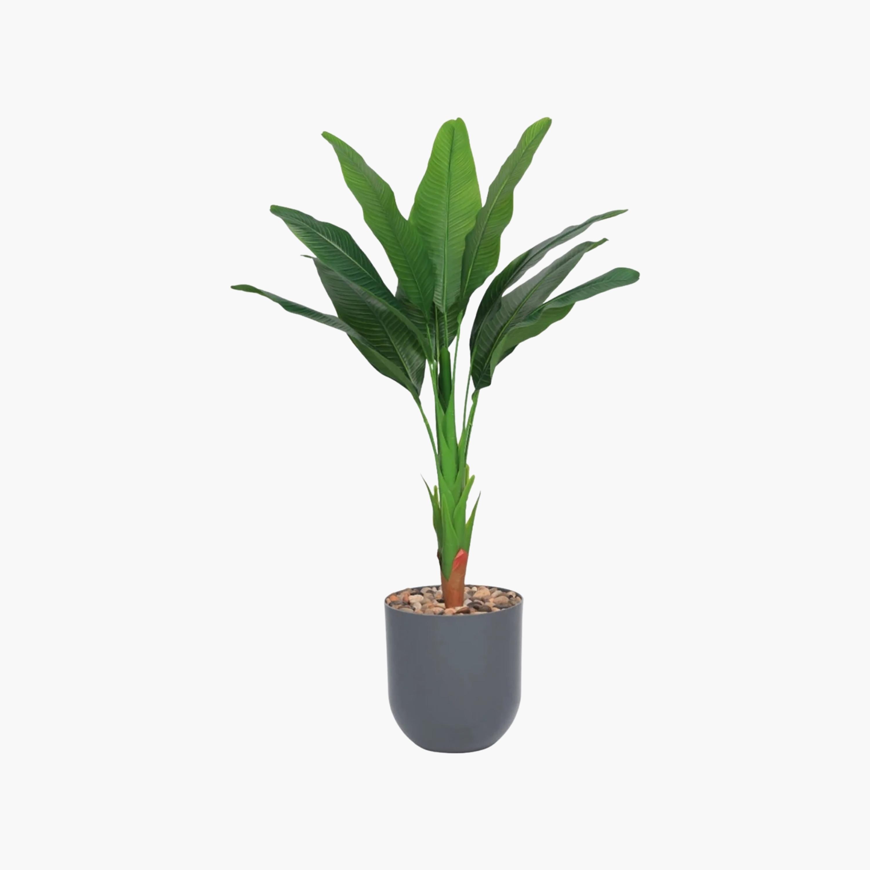 نبتة عصفور الجنة صناعية في أصيص من ماريا هومز-household-gardenandoutdoor-artificialflowersandplants-flowers-image-2