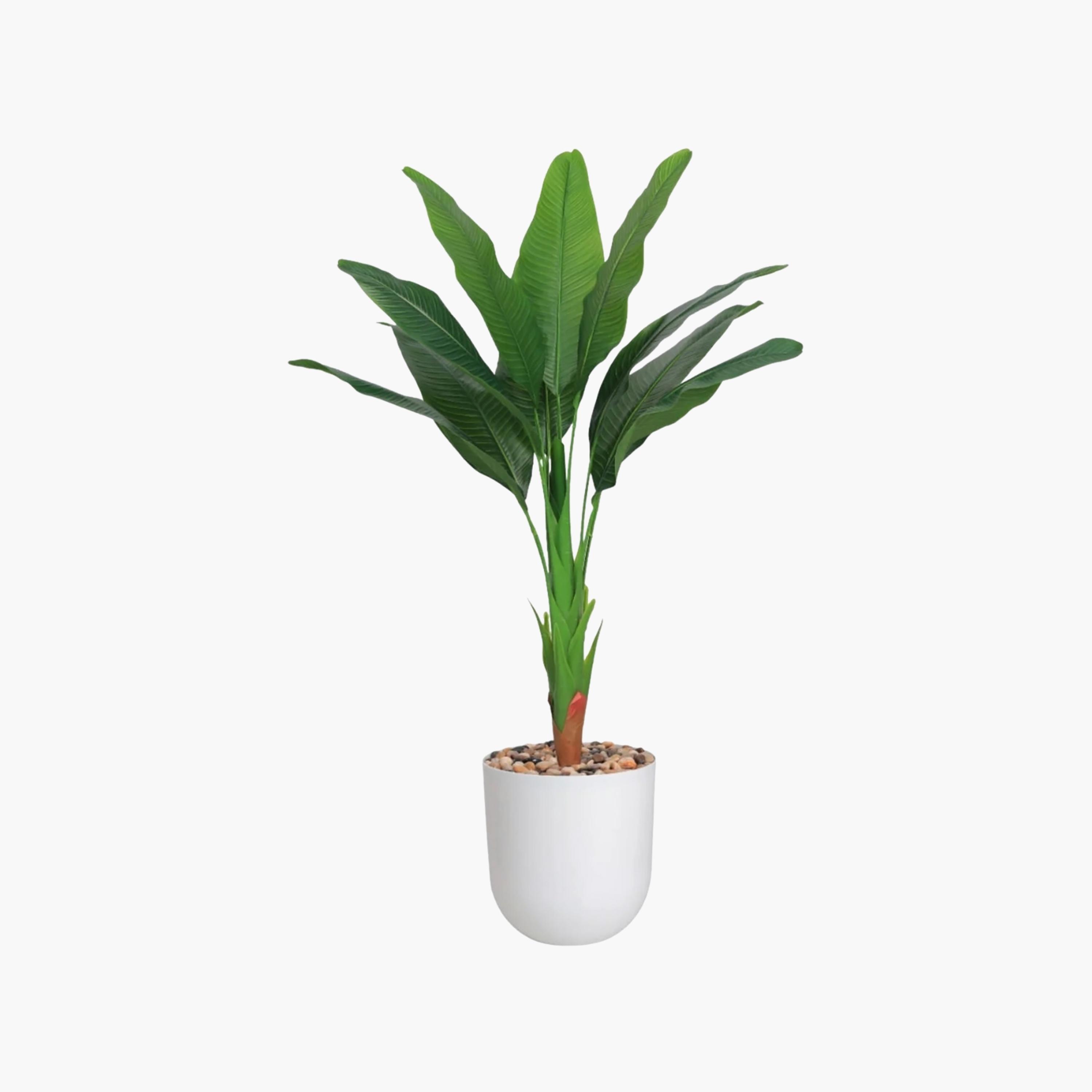 نبتة عصفور الجنة صناعية في أصيص من ماريا هومز-household-gardenandoutdoor-artificialflowersandplants-flowers-image-2