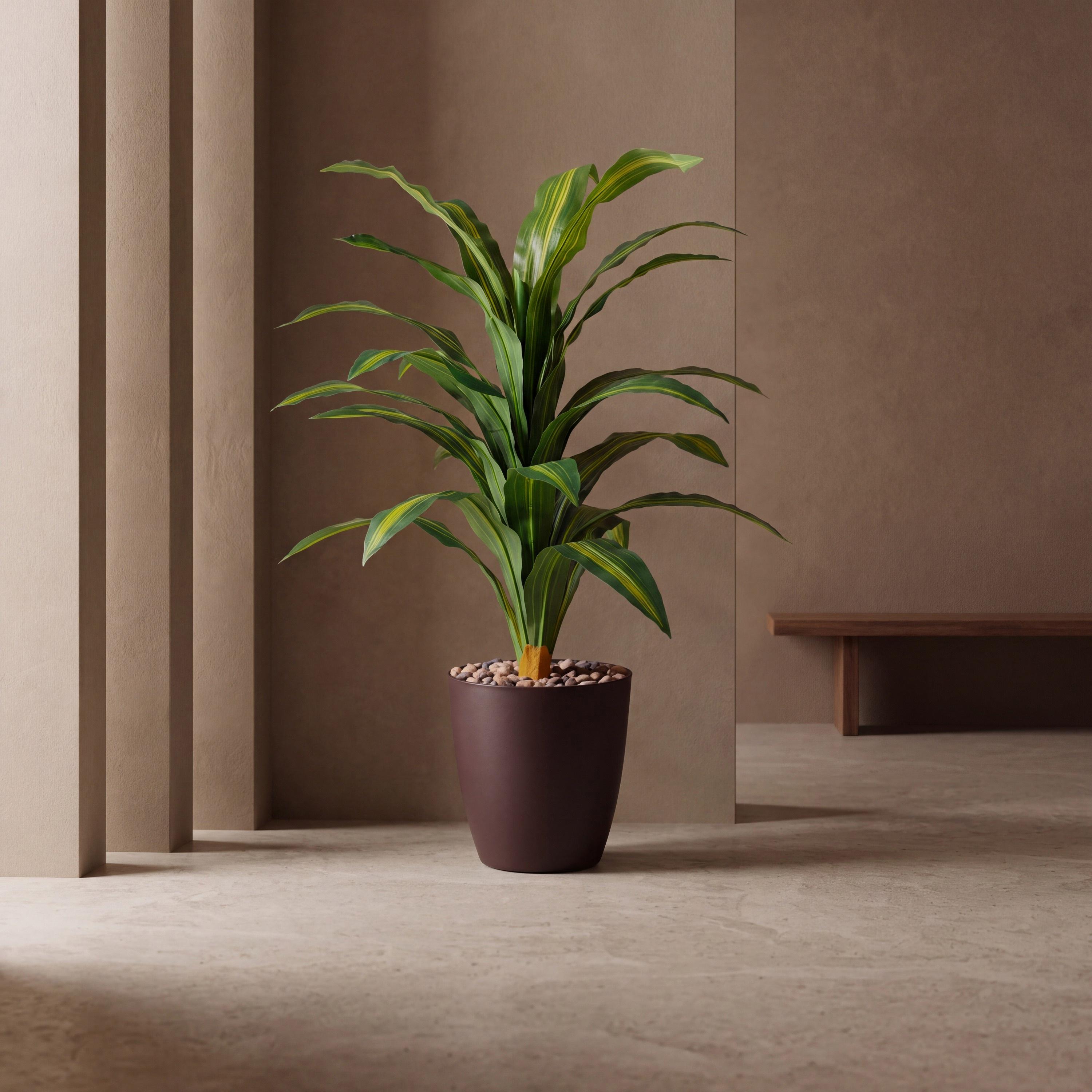 نبتة دراسينا صناعية في أصيص من ماريا هومز-household-gardenandoutdoor-artificialflowersandplants-flowers-image-1