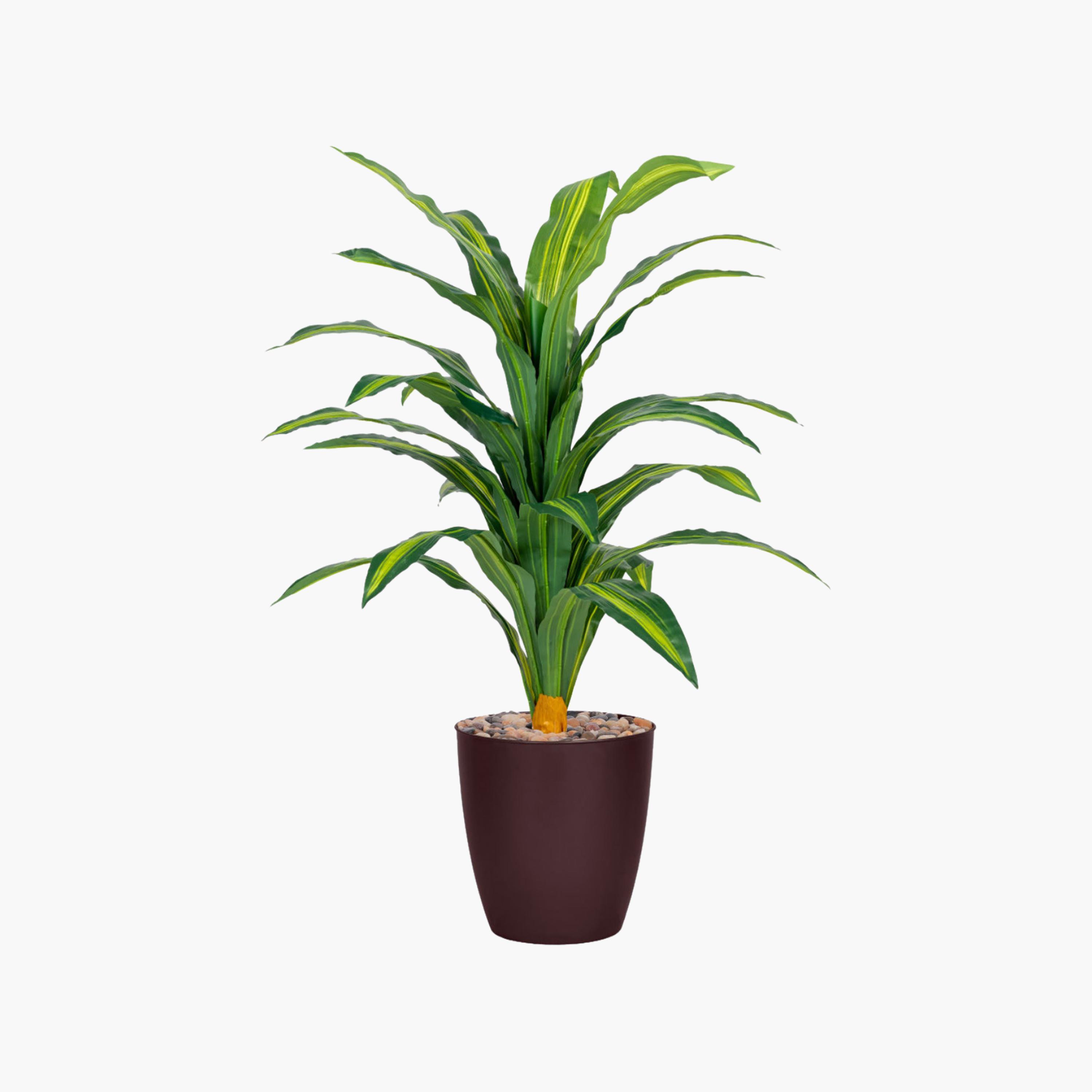 نبتة دراسينا صناعية في أصيص من ماريا هومز-household-gardenandoutdoor-artificialflowersandplants-flowers-image-2