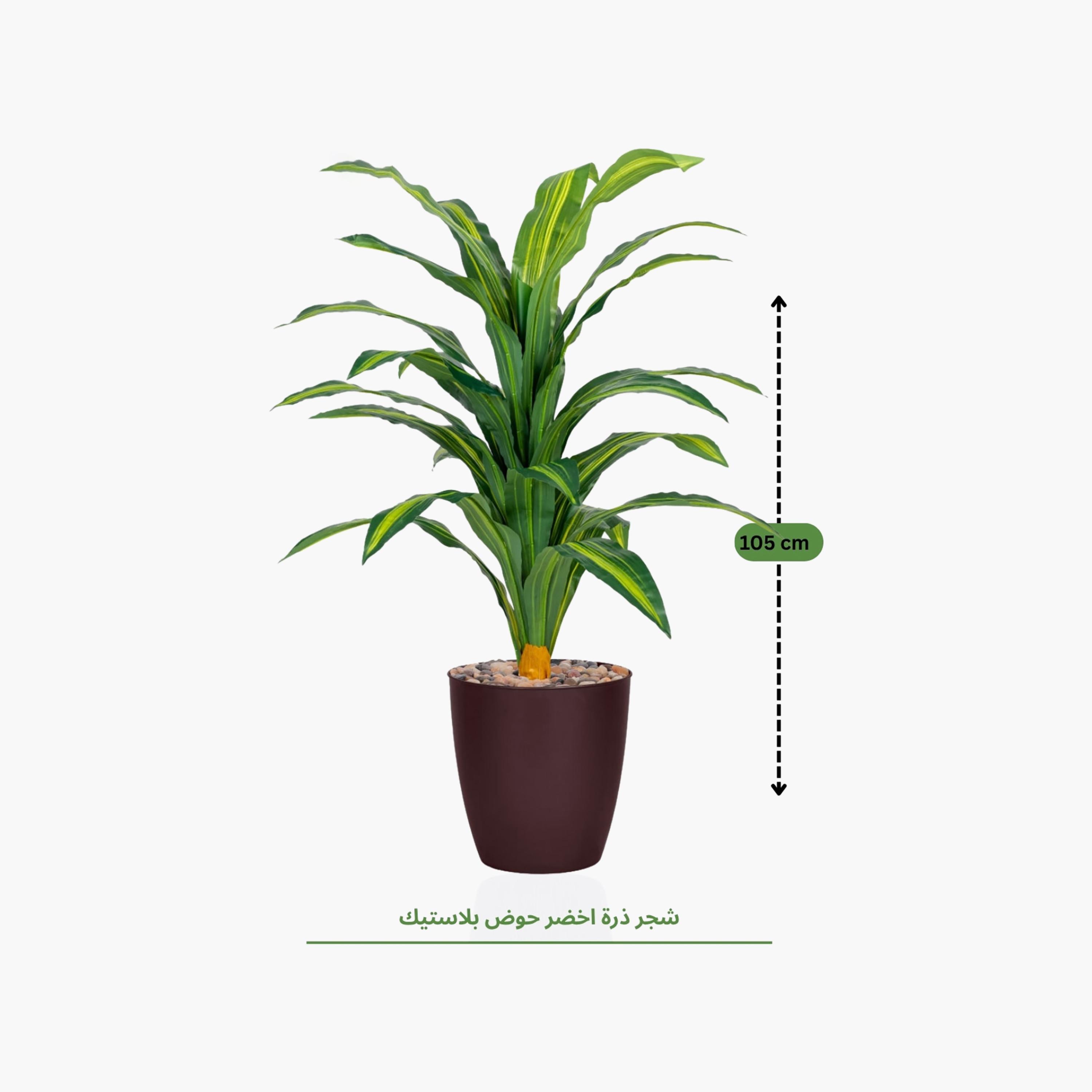 نبتة دراسينا صناعية في أصيص من ماريا هومز-household-gardenandoutdoor-artificialflowersandplants-flowers-image-4