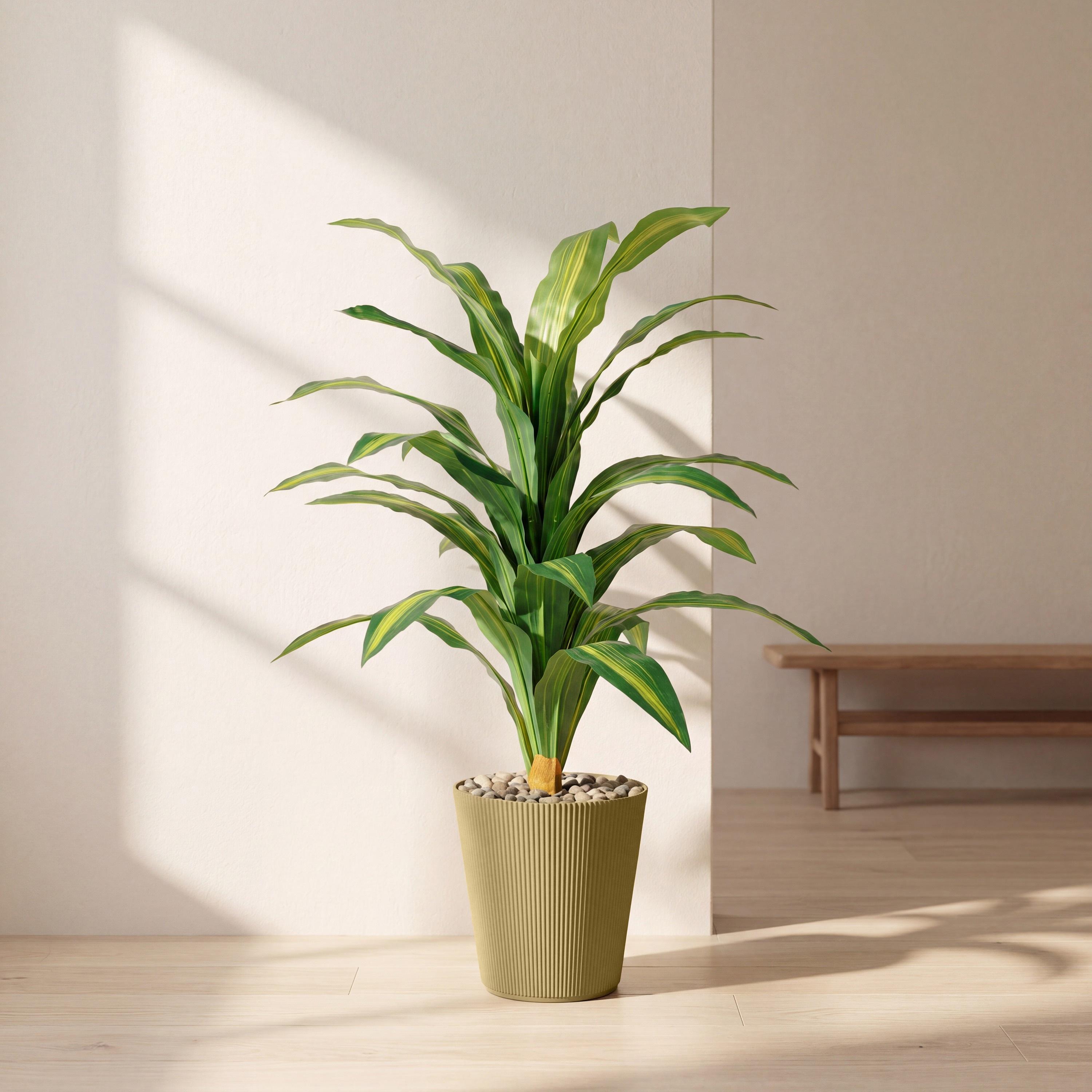 نبتة دراسينا صناعية في أصيص من ماريا هومز-household-gardenandoutdoor-artificialflowersandplants-flowers-image-1