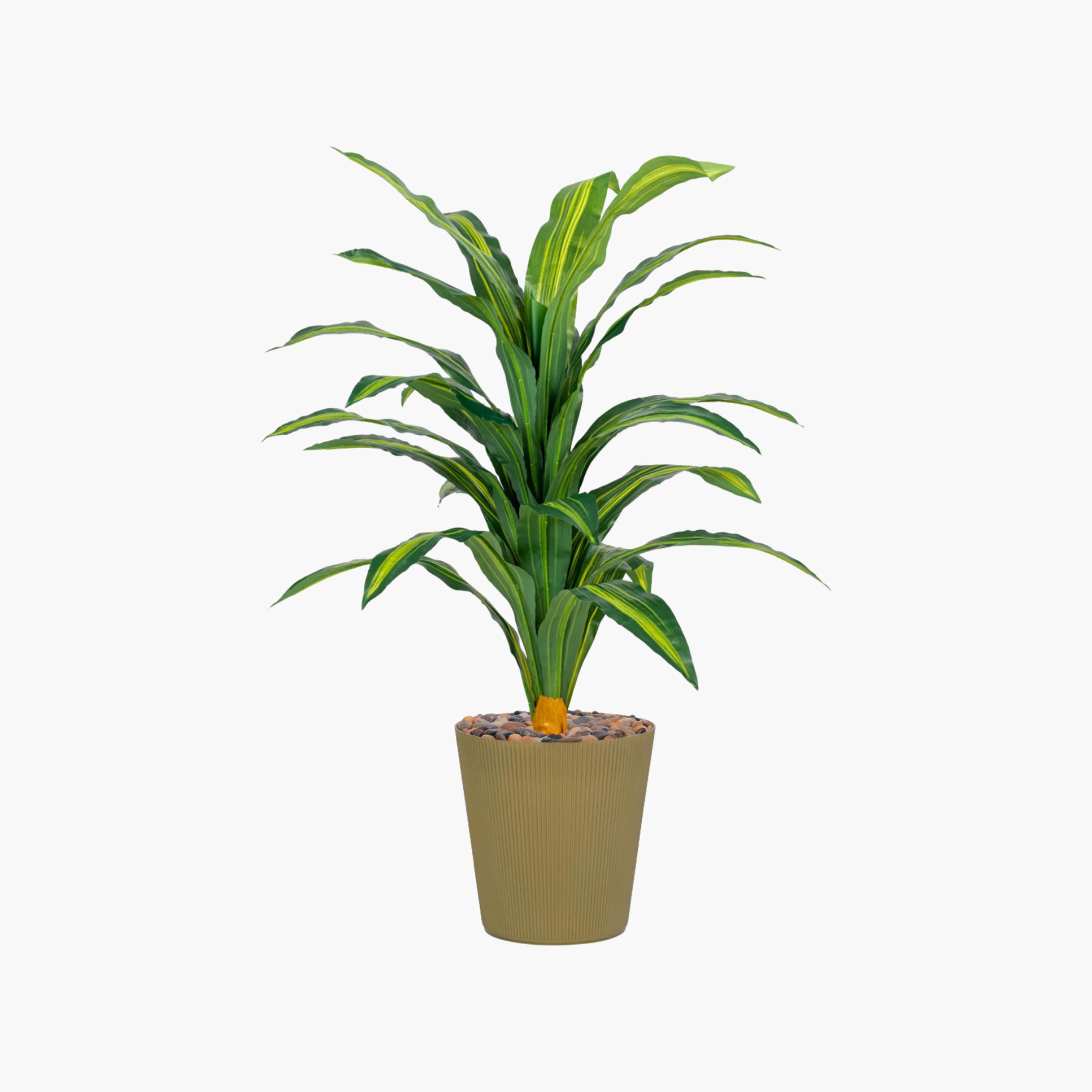نبتة دراسينا صناعية في أصيص من ماريا هومز-household-gardenandoutdoor-artificialflowersandplants-flowers-image-2