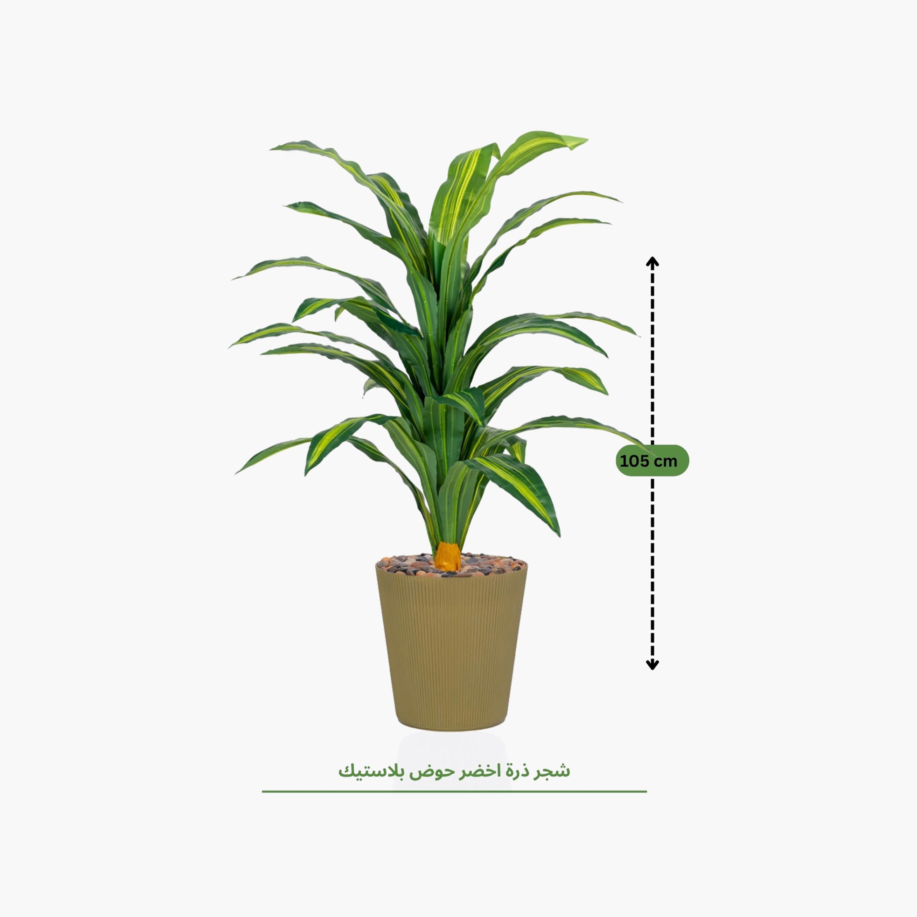 نبتة دراسينا صناعية في أصيص من ماريا هومز-household-gardenandoutdoor-artificialflowersandplants-flowers-image-4