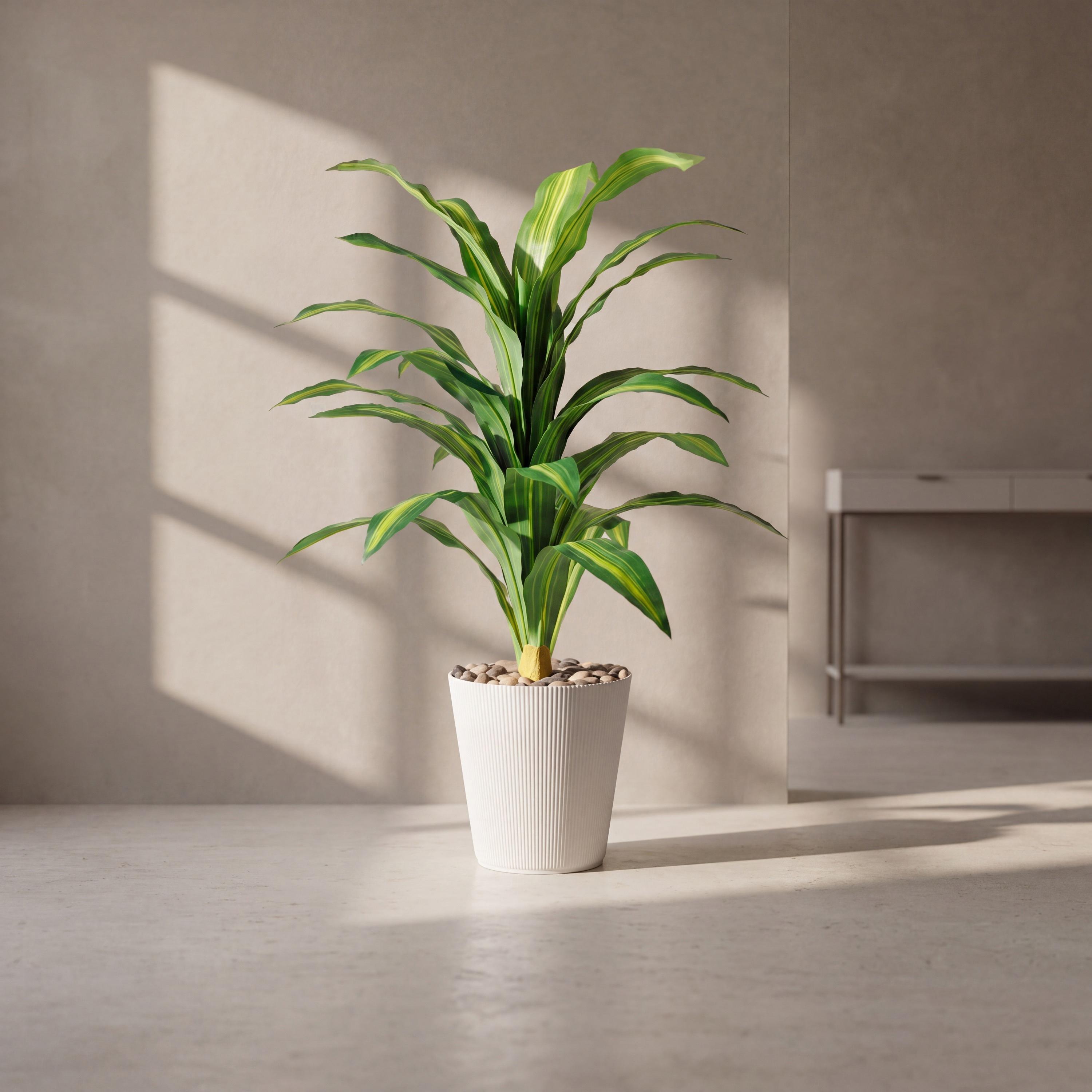 نبتة دراسينا صناعية في أصيص من ماريا هومز-household-gardenandoutdoor-artificialflowersandplants-flowers-image-1
