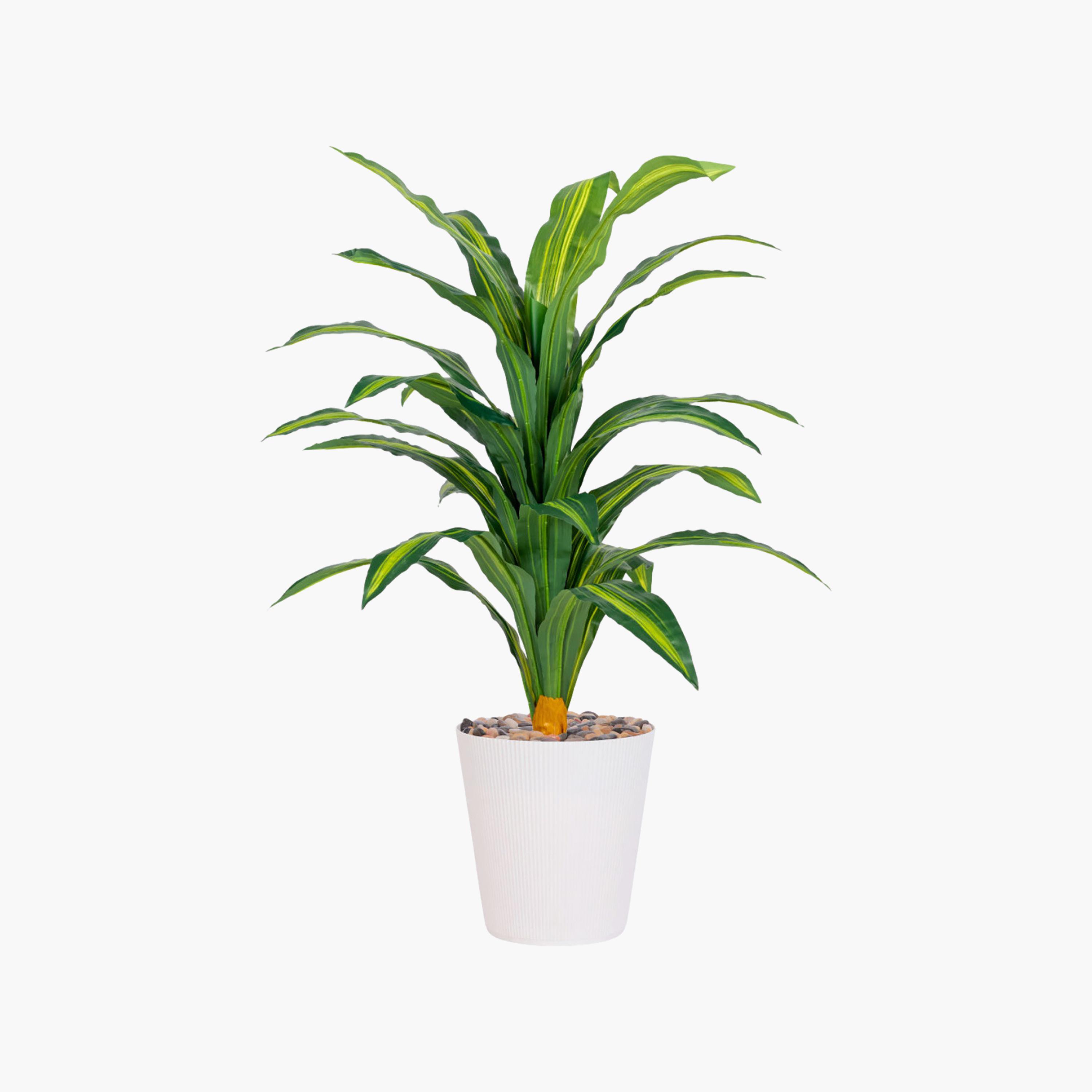 نبتة دراسينا صناعية في أصيص من ماريا هومز-household-gardenandoutdoor-artificialflowersandplants-flowers-image-2