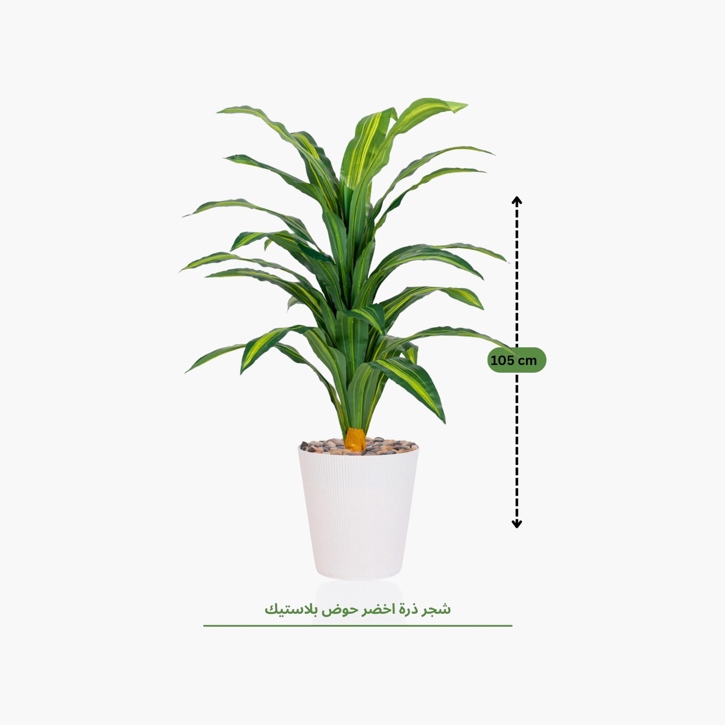 نبتة دراسينا صناعية في أصيص من ماريا هومز-household-gardenandoutdoor-artificialflowersandplants-flowers-image-4
