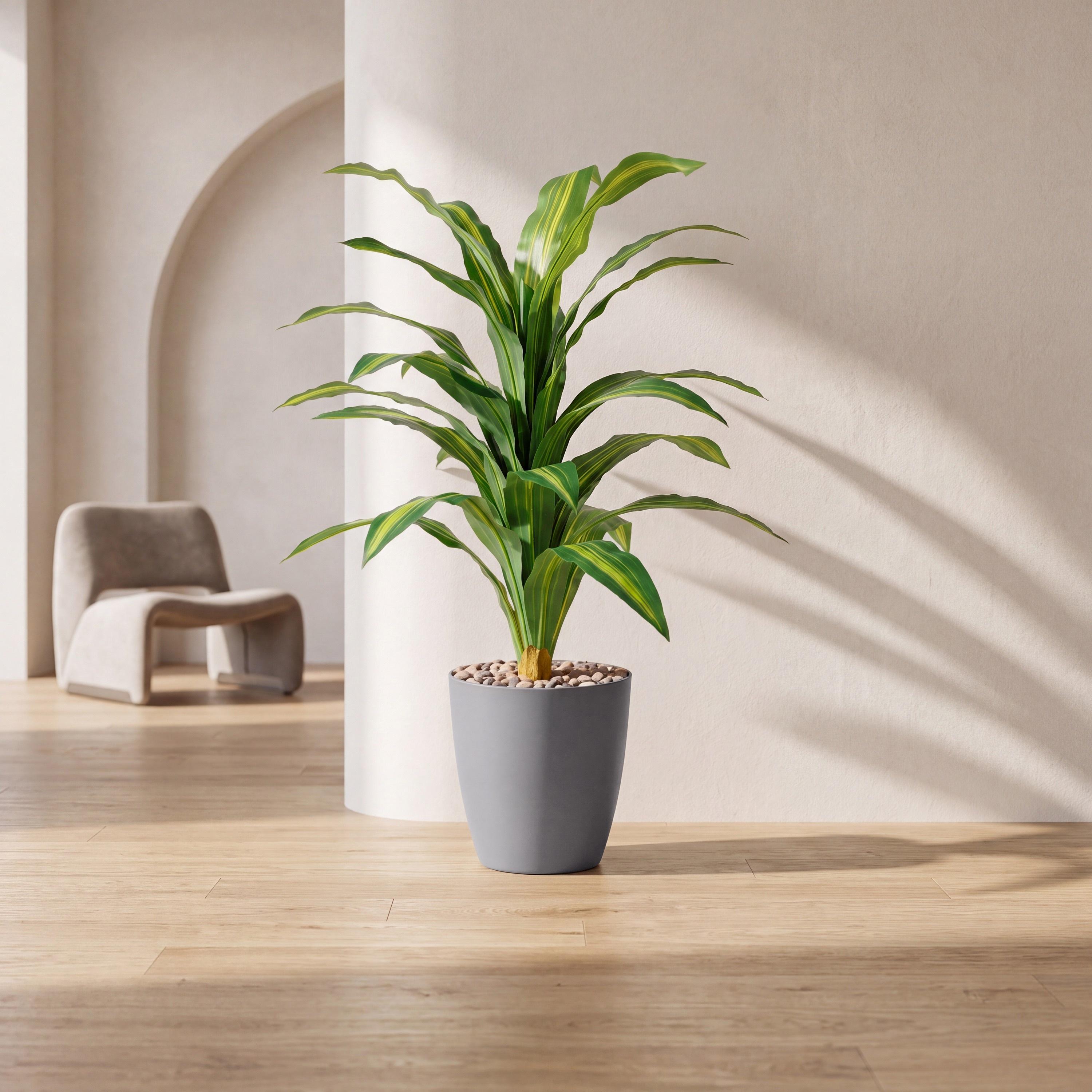 نبتة دراسينا صناعية في أصيص من ماريا هومز-household-gardenandoutdoor-artificialflowersandplants-flowers-image-1