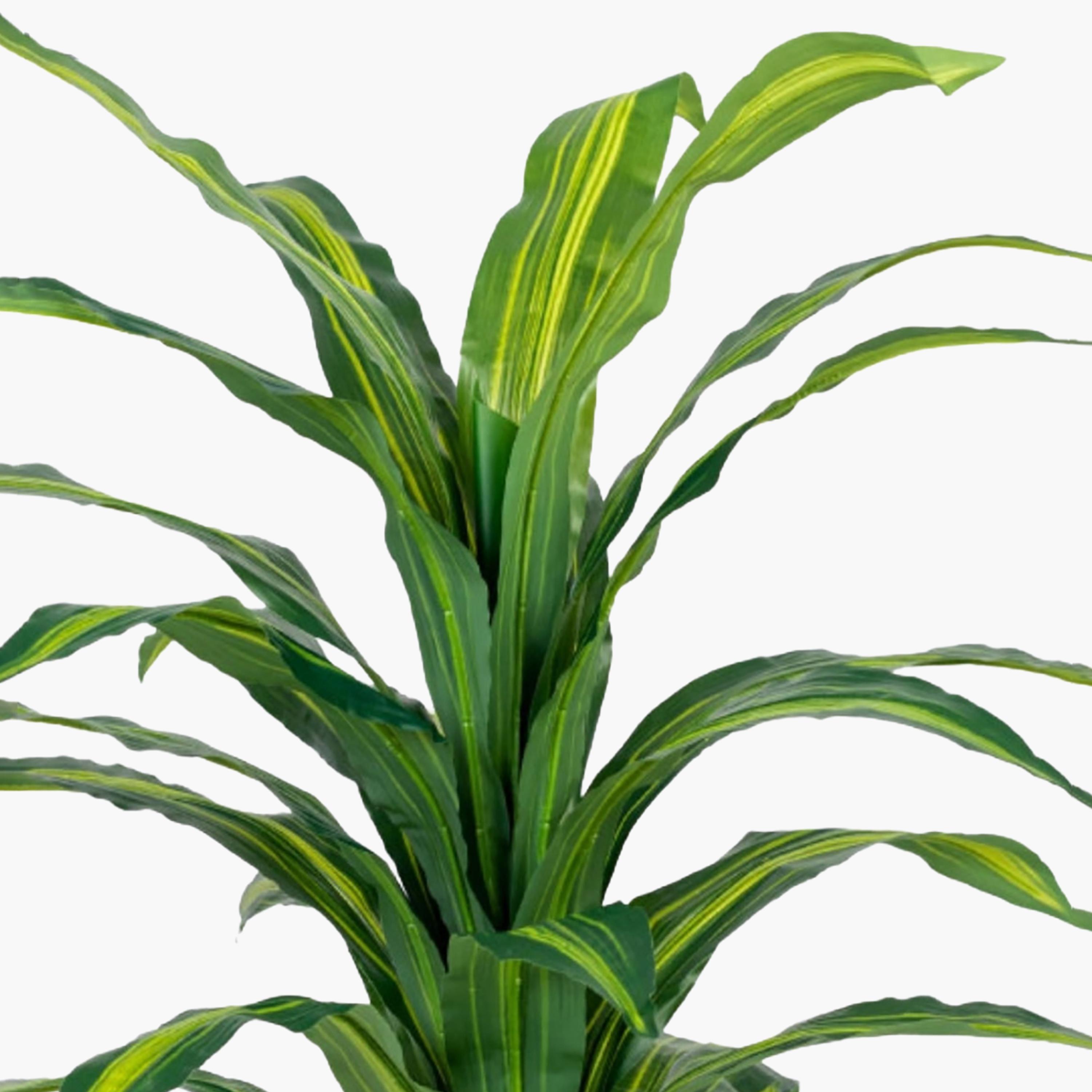 نبتة دراسينا صناعية في أصيص من ماريا هومز-household-gardenandoutdoor-artificialflowersandplants-flowers-image-3