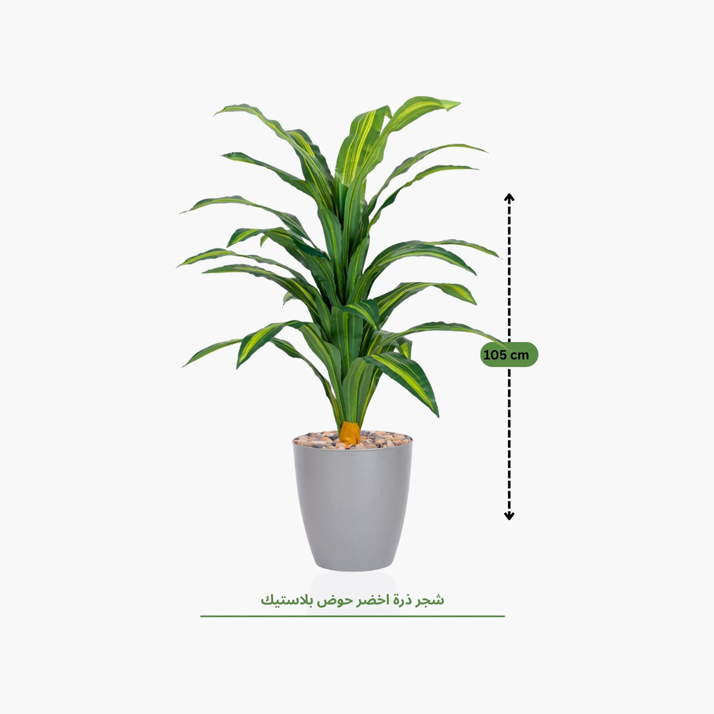 نبتة دراسينا صناعية في أصيص من ماريا هومز-household-gardenandoutdoor-artificialflowersandplants-flowers-image-4