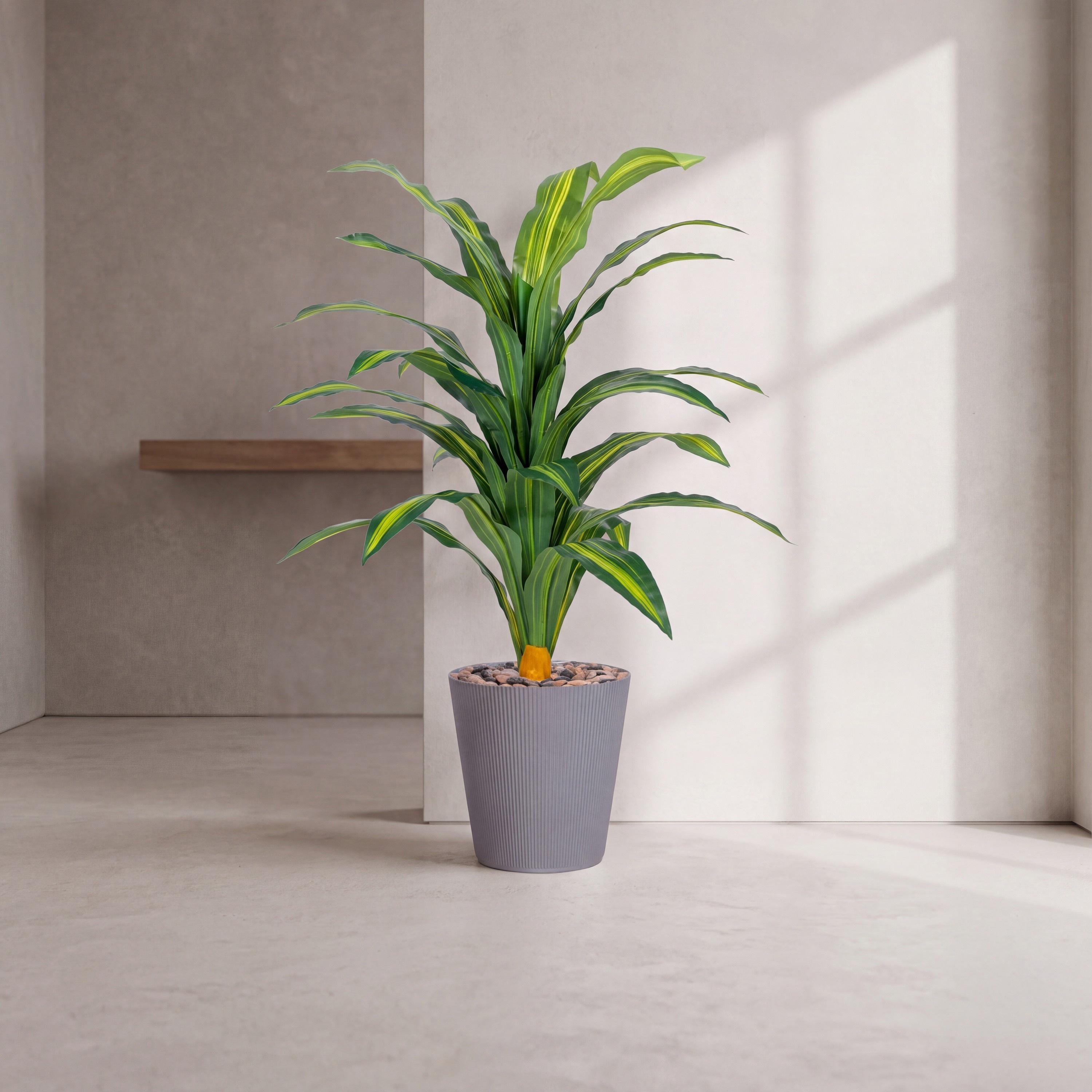 نبتة دراسينا صناعية في أصيص من ماريا هومز-household-gardenandoutdoor-artificialflowersandplants-flowers-image-1