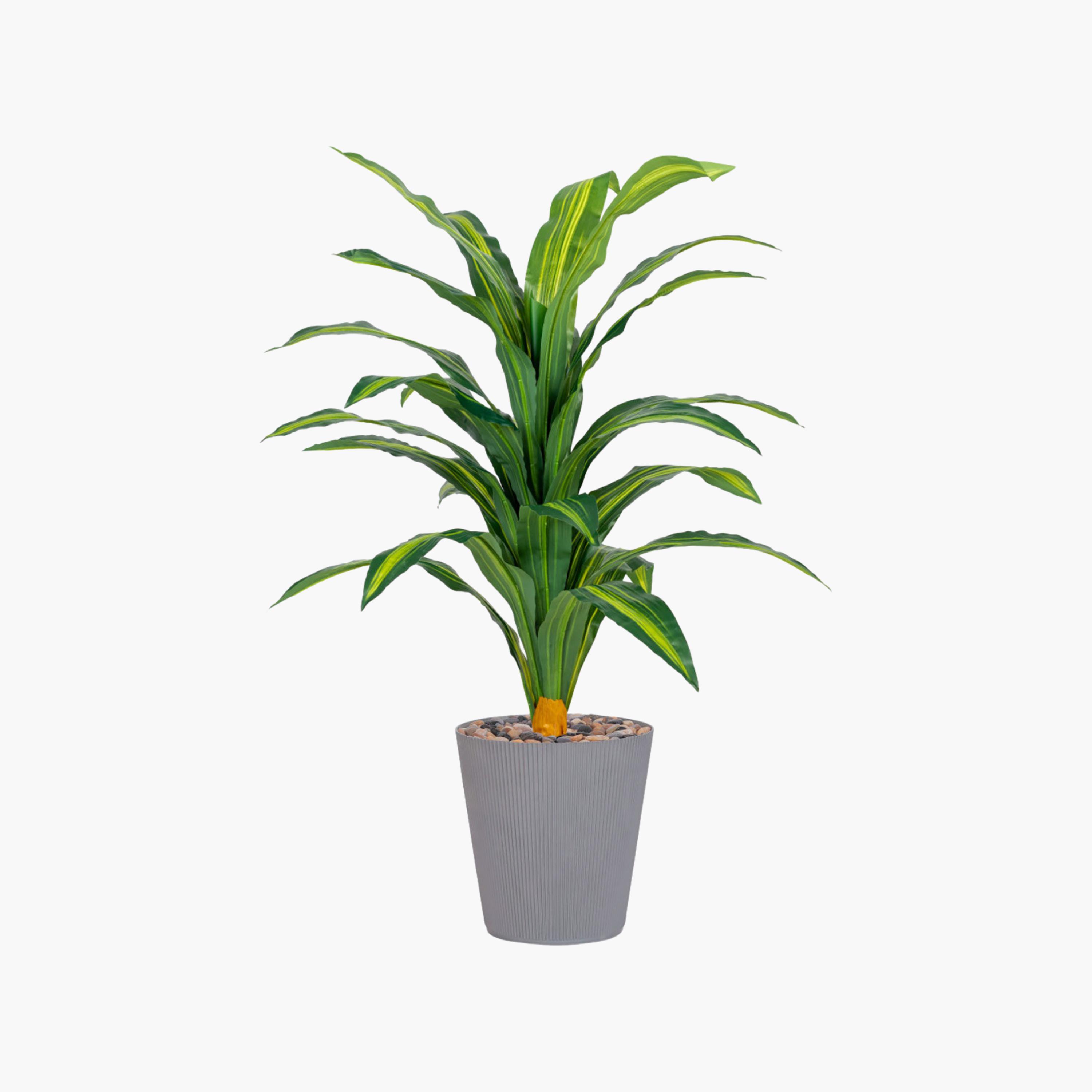 نبتة دراسينا صناعية في أصيص من ماريا هومز-household-gardenandoutdoor-artificialflowersandplants-flowers-image-2