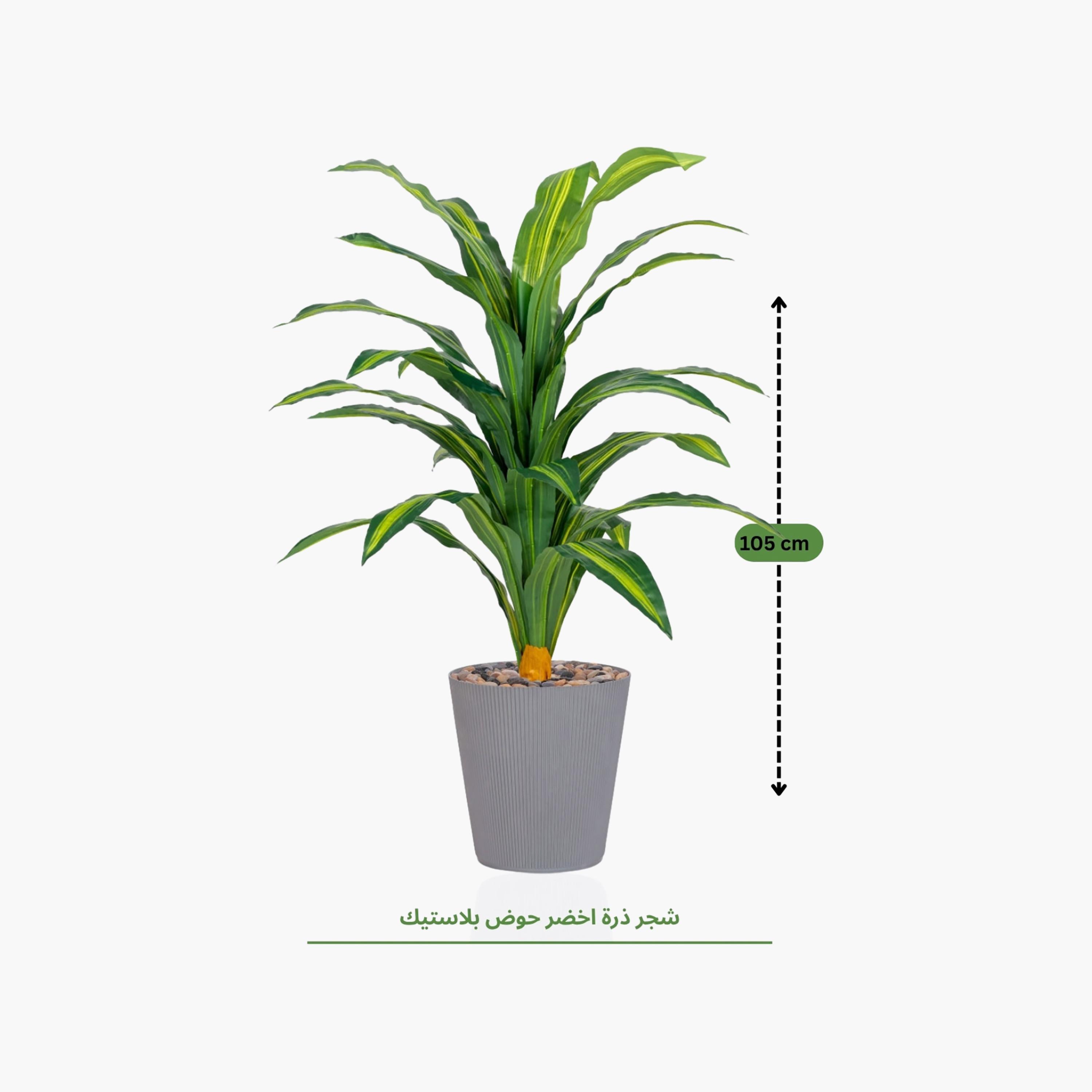 نبتة دراسينا صناعية في أصيص من ماريا هومز-household-gardenandoutdoor-artificialflowersandplants-flowers-image-4