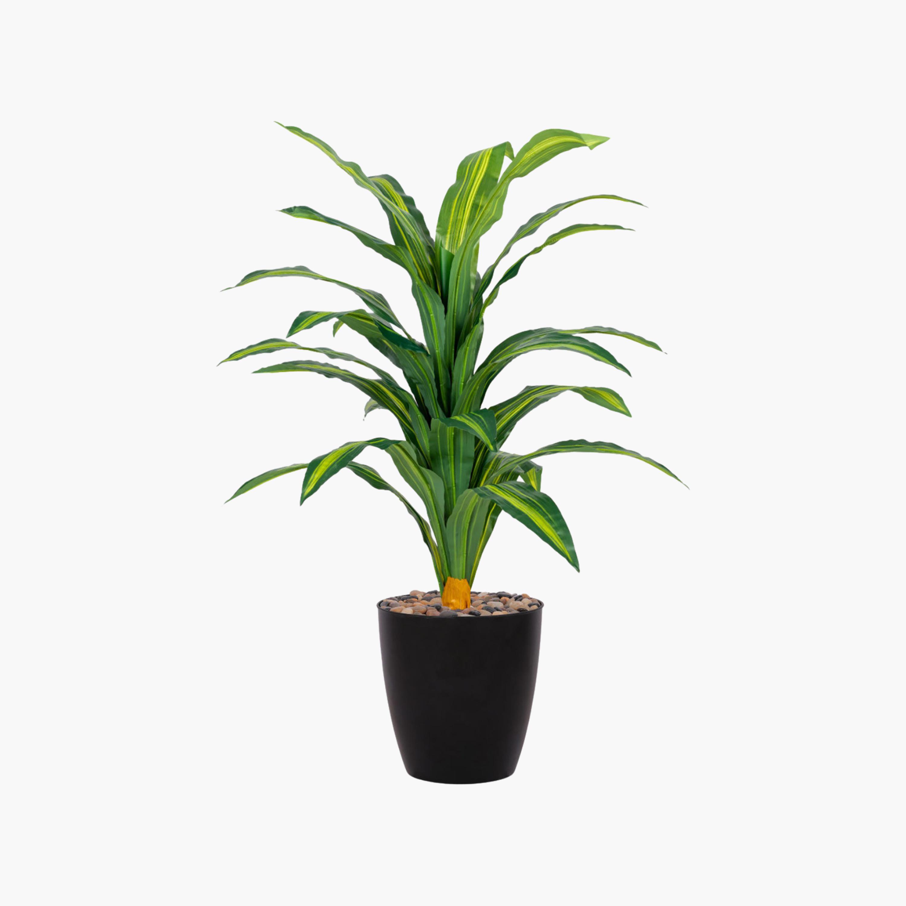 نبتة دراسينا صناعية في أصيص من ماريا هومز-household-gardenandoutdoor-artificialflowersandplants-flowers-image-2