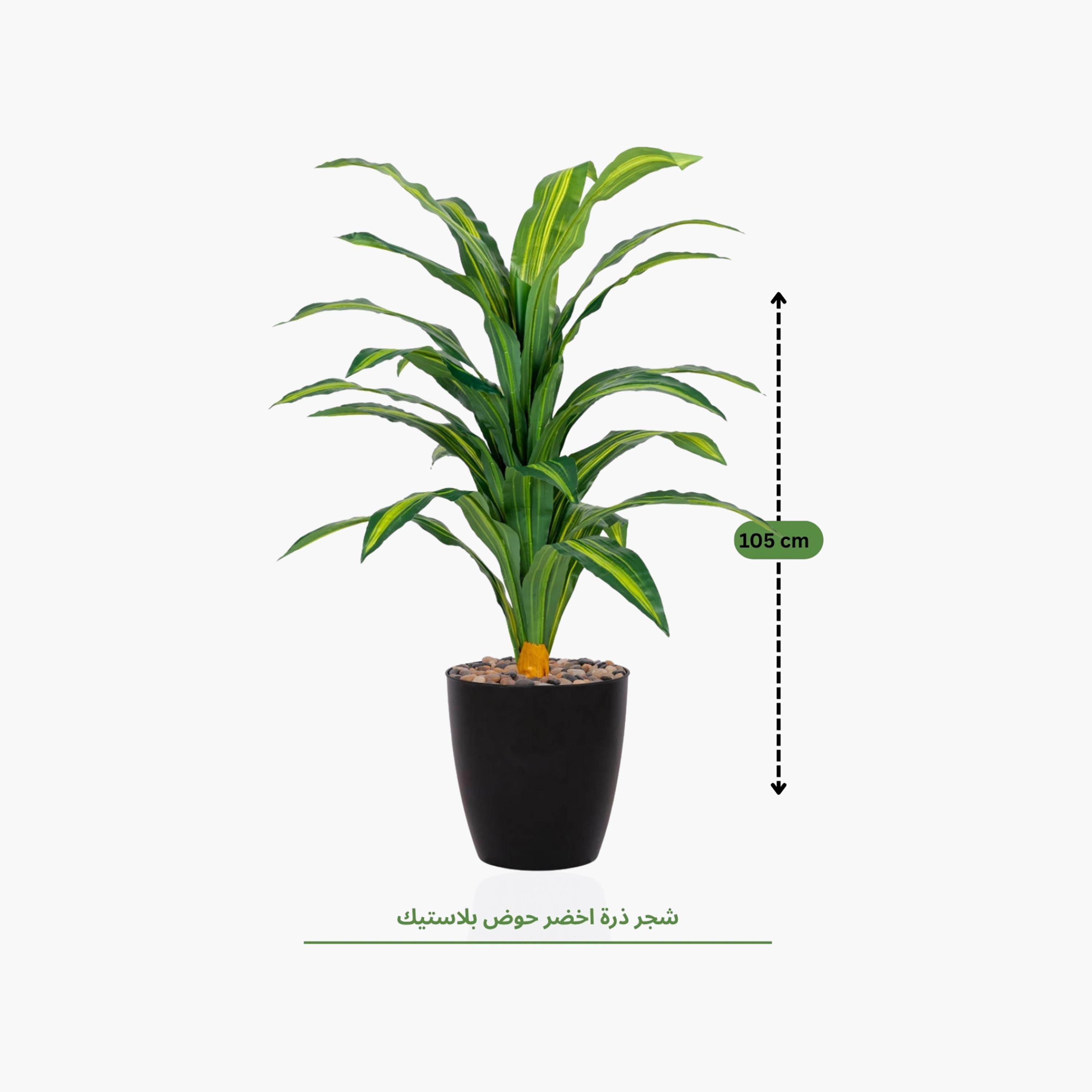 نبتة دراسينا صناعية في أصيص من ماريا هومز-household-gardenandoutdoor-artificialflowersandplants-flowers-image-4