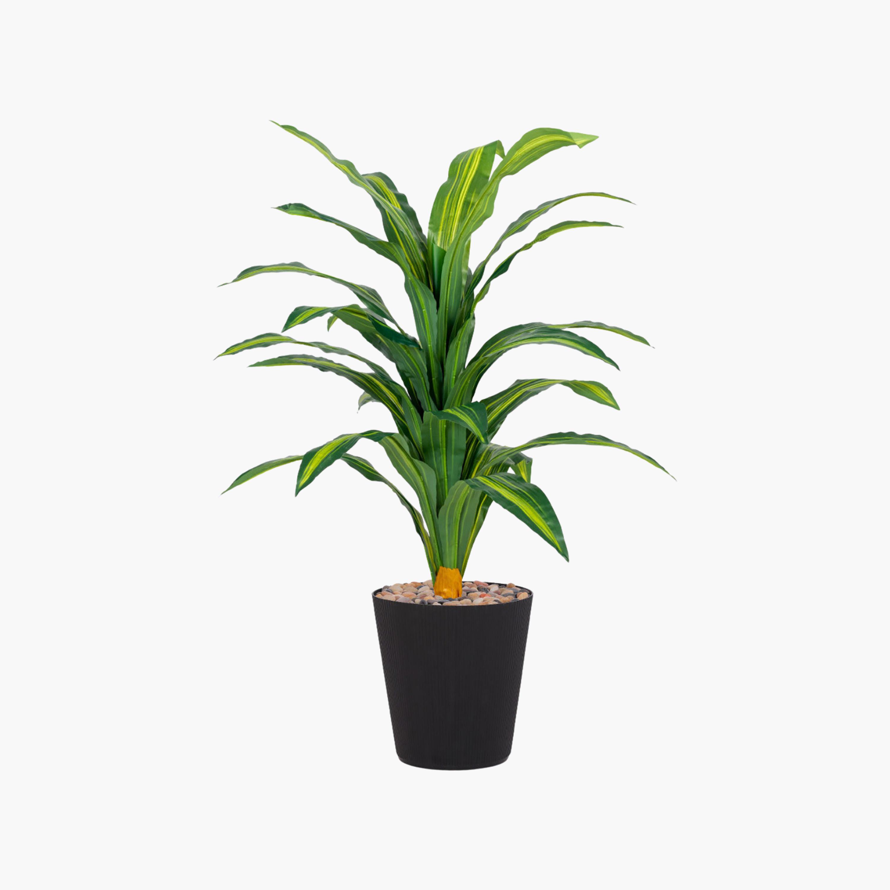 نبتة دراسينا صناعية في أصيص من ماريا هومز-household-gardenandoutdoor-artificialflowersandplants-flowers-image-2