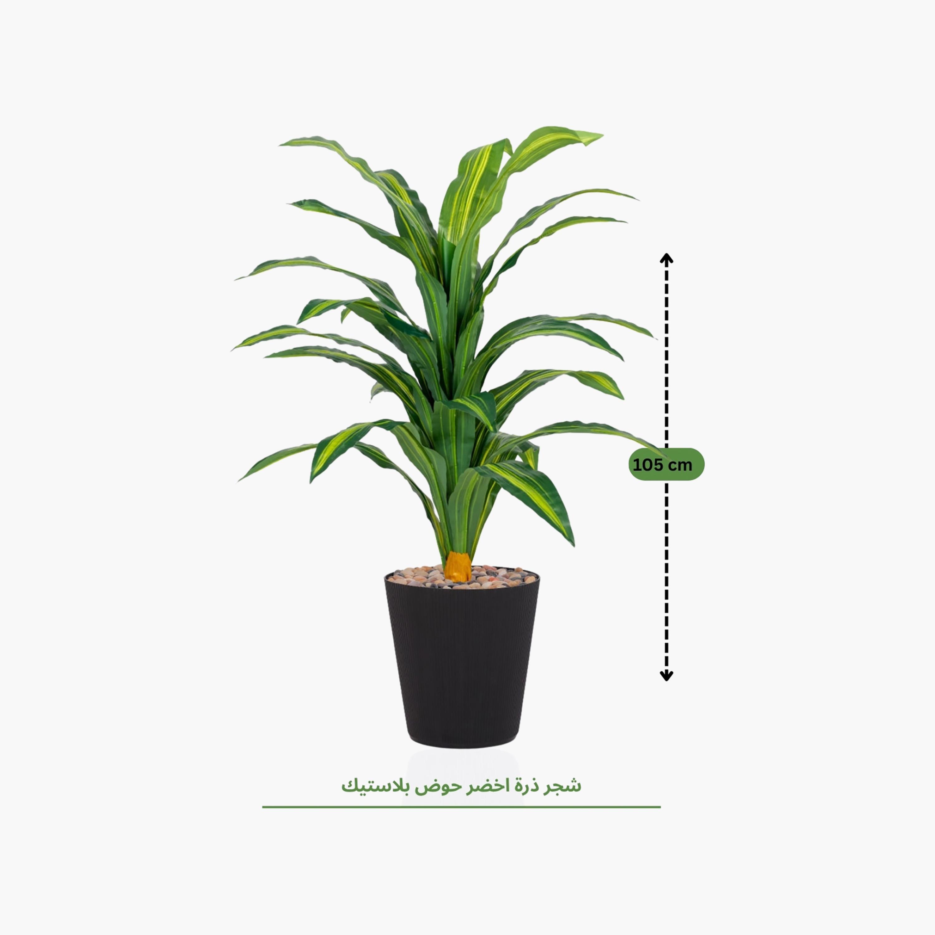 نبتة دراسينا صناعية في أصيص من ماريا هومز-household-gardenandoutdoor-artificialflowersandplants-flowers-image-4