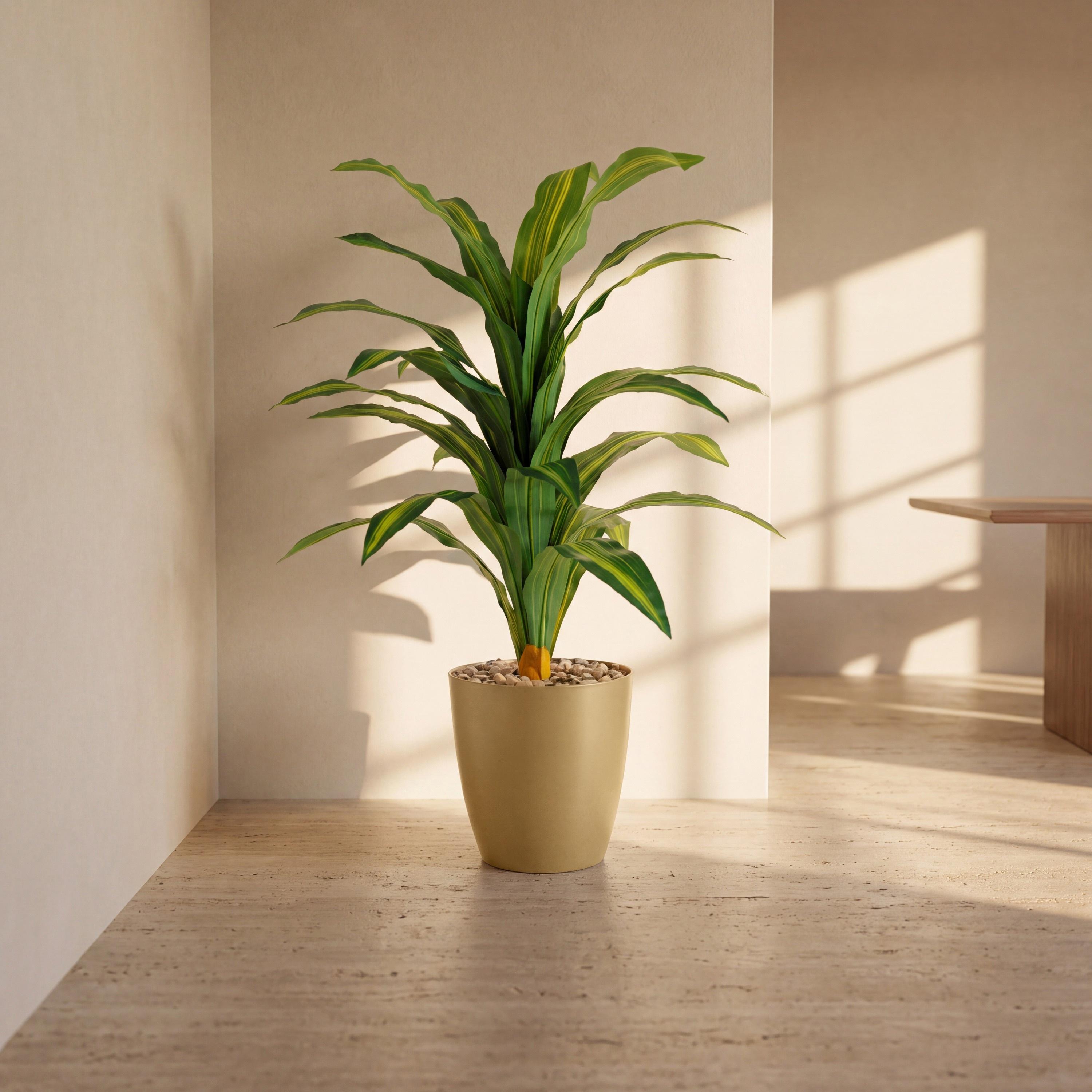Maria Homes Potted Artificial Dracaena Plant-household-gardenandoutdoor-artificialflowersandplants-flowers-image-1