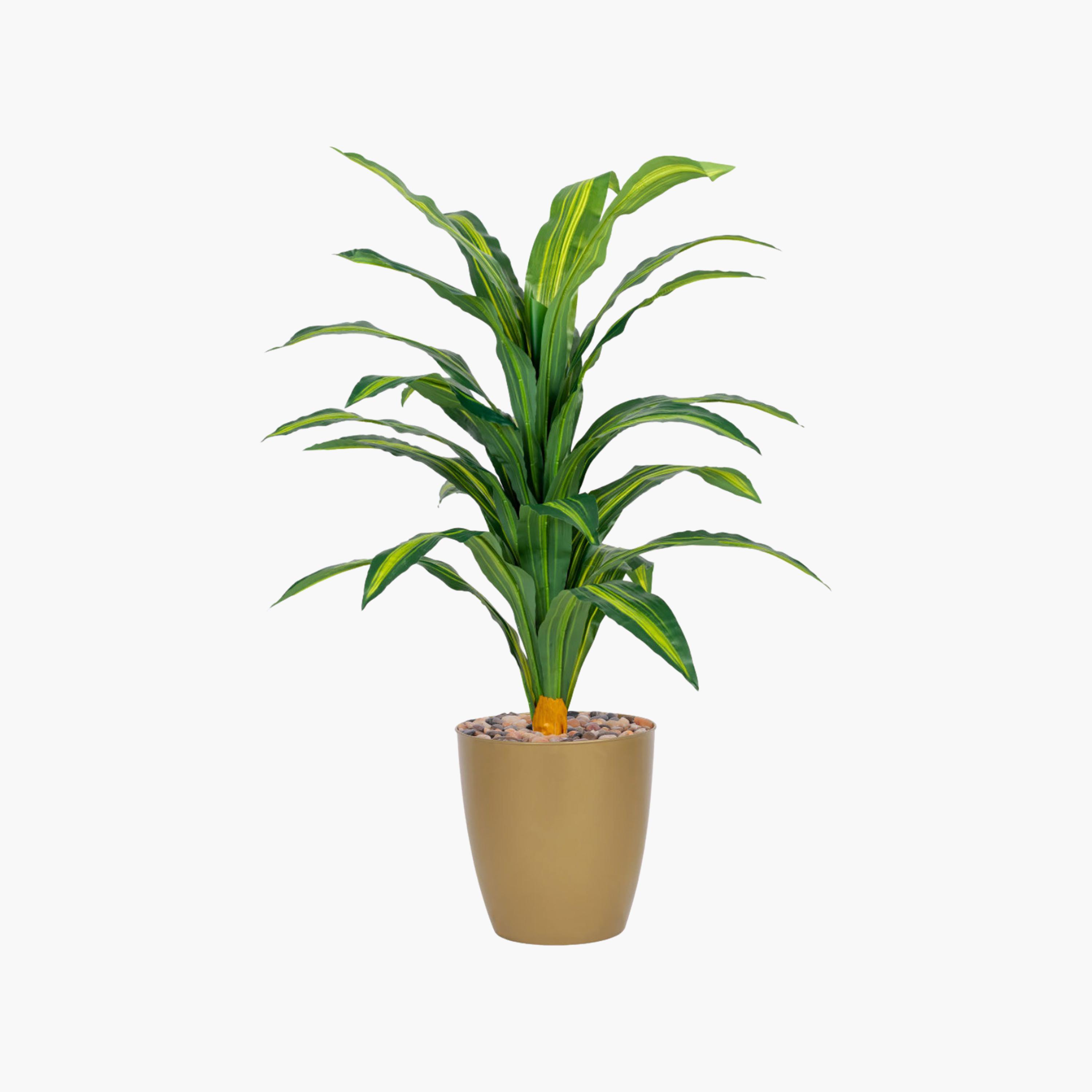 Maria Homes Potted Artificial Dracaena Plant-household-gardenandoutdoor-artificialflowersandplants-flowers-image-2