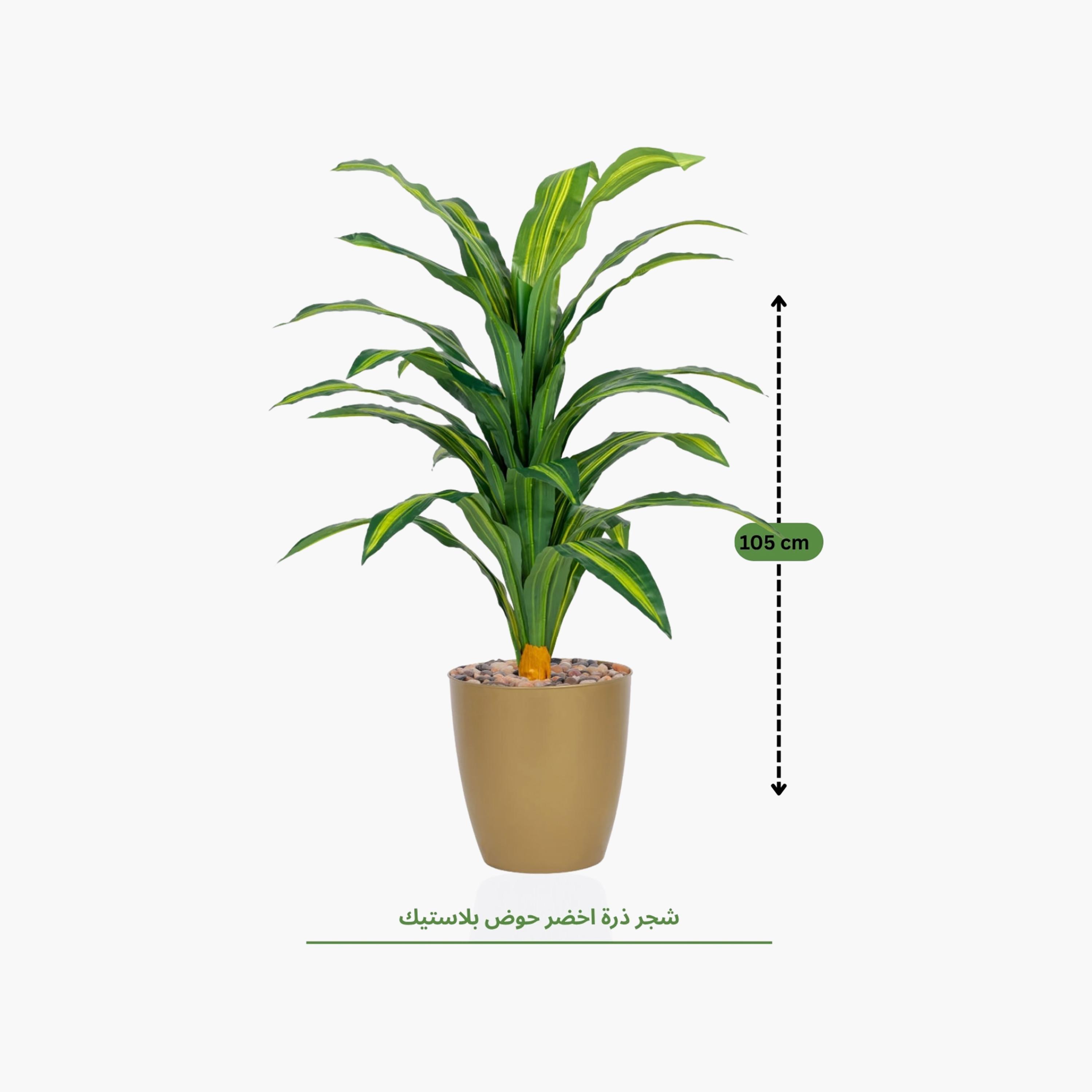 Maria Homes Potted Artificial Dracaena Plant-household-gardenandoutdoor-artificialflowersandplants-flowers-image-4