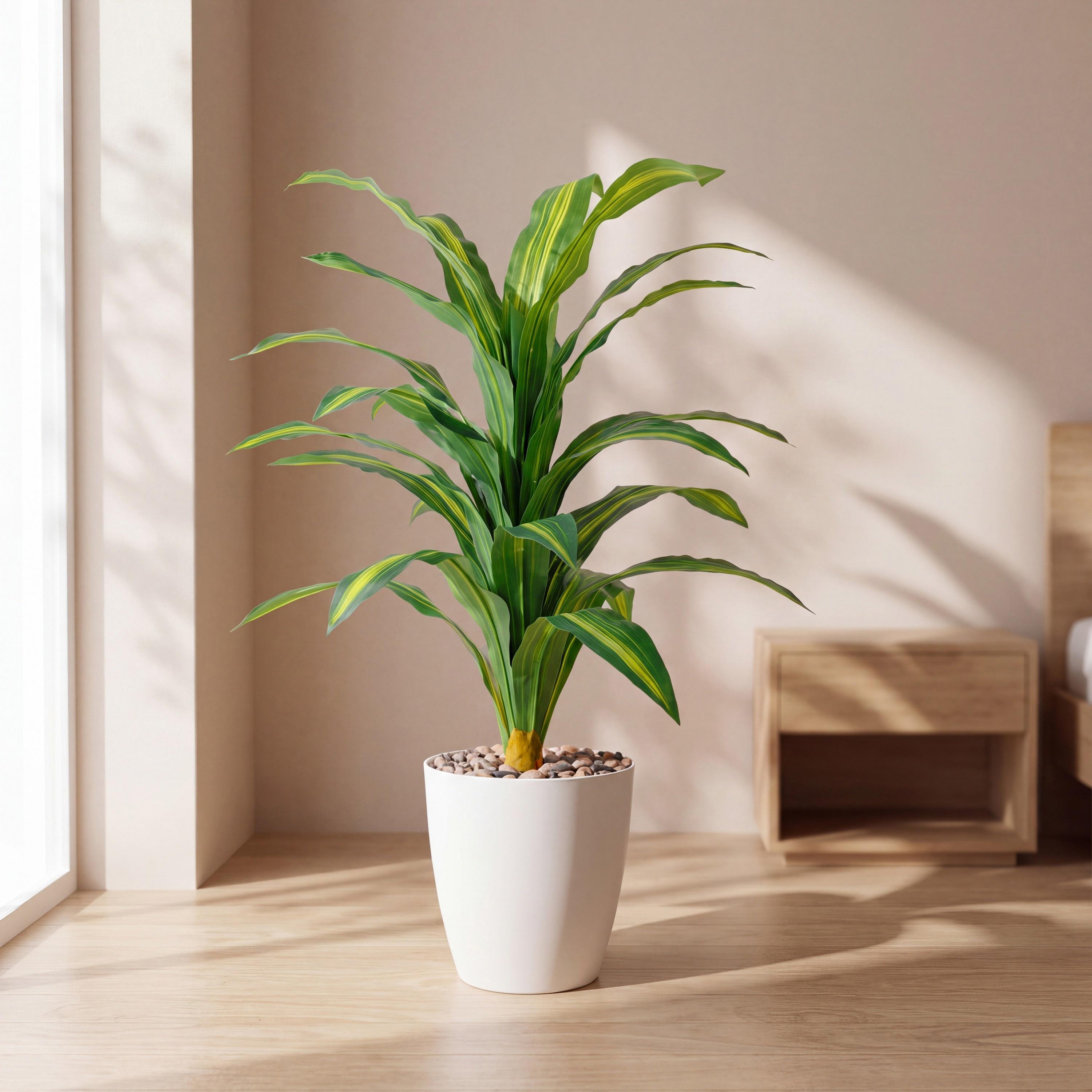 Maria Homes Potted Artificial Dracaena Plant-household-gardenandoutdoor-artificialflowersandplants-flowers-image-1