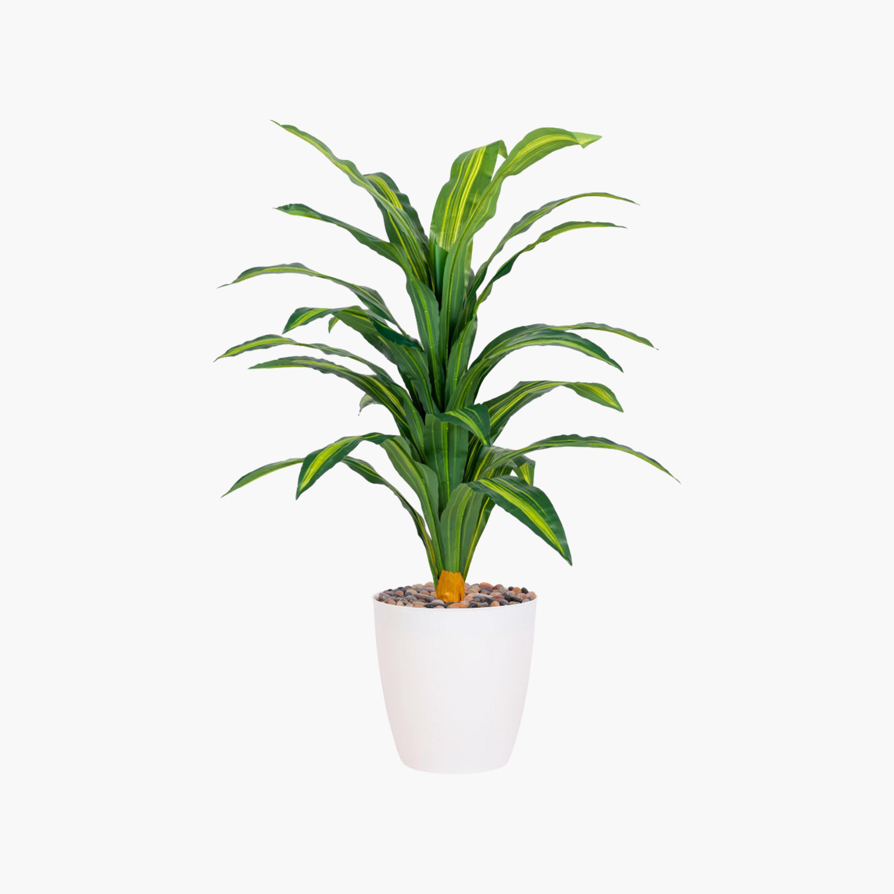 Maria Homes Potted Artificial Dracaena Plant-household-gardenandoutdoor-artificialflowersandplants-flowers-image-2