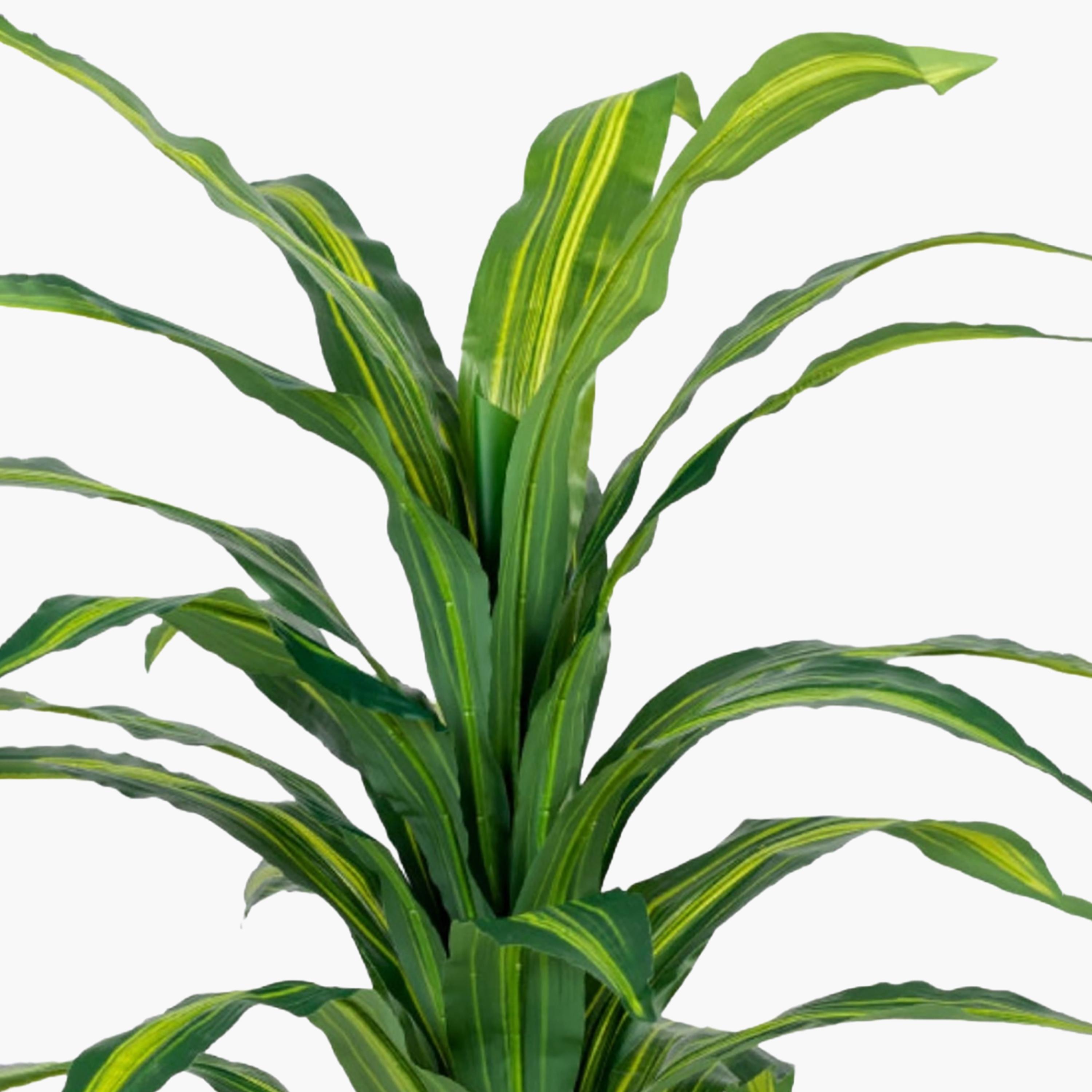Maria Homes Potted Artificial Dracaena Plant-household-gardenandoutdoor-artificialflowersandplants-flowers-image-3