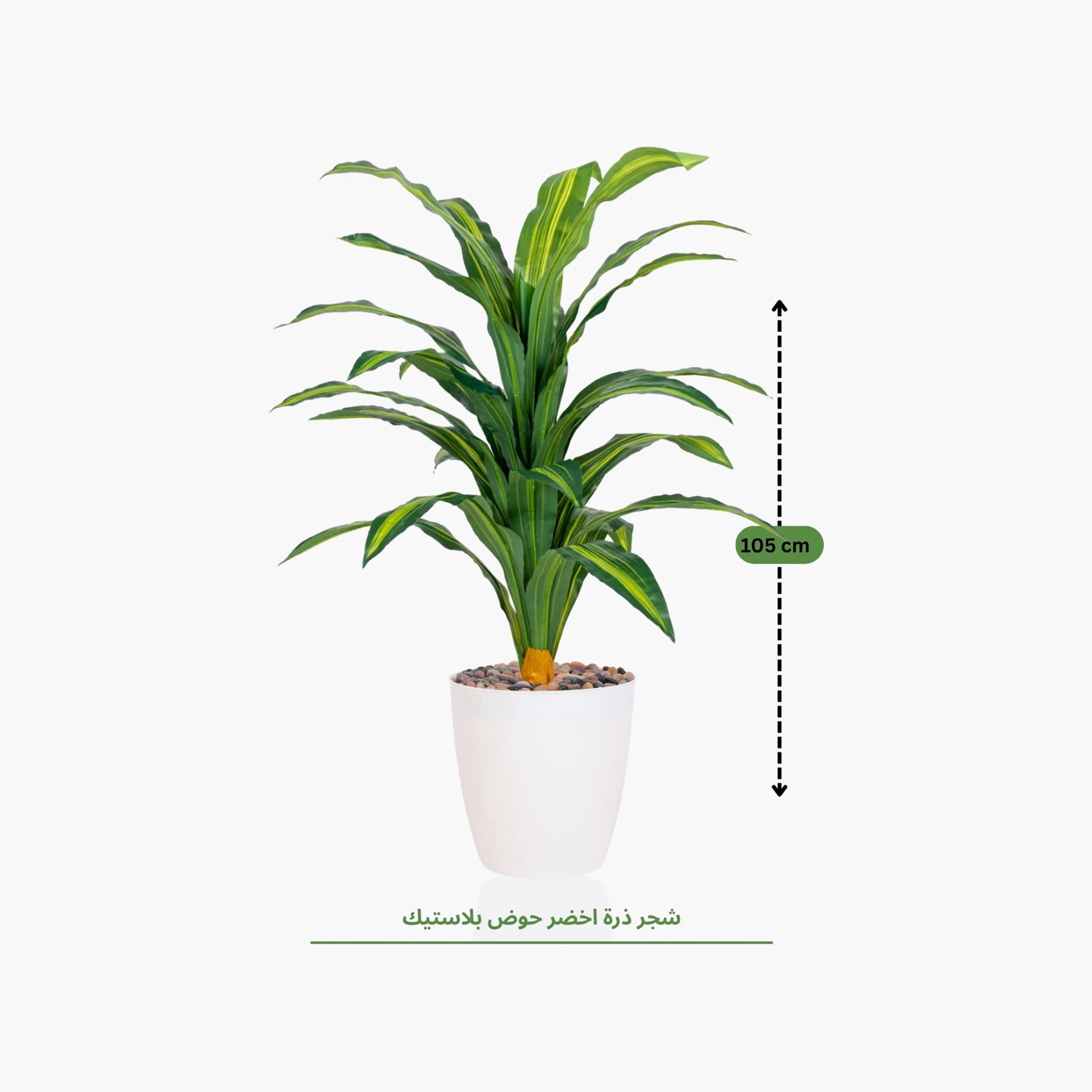 Maria Homes Potted Artificial Dracaena Plant-household-gardenandoutdoor-artificialflowersandplants-flowers-image-4