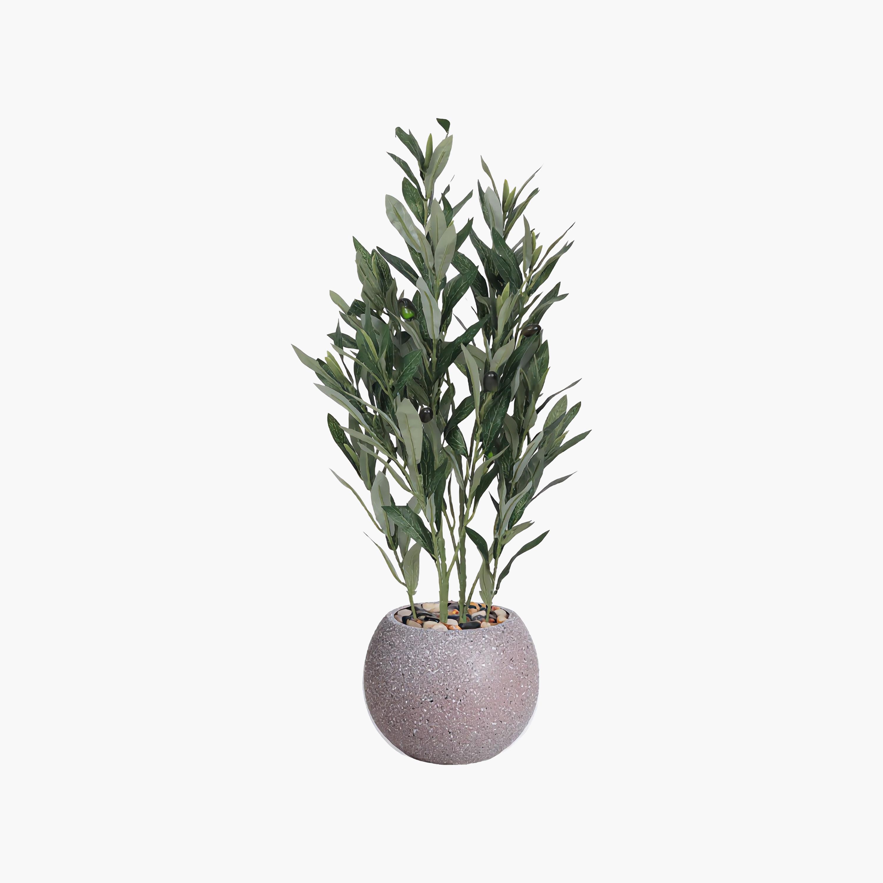 نبتة زيتون صناعية في أصيص من ماريا هومز-household-gardenandoutdoor-artificialflowersandplants-flowers-image-2