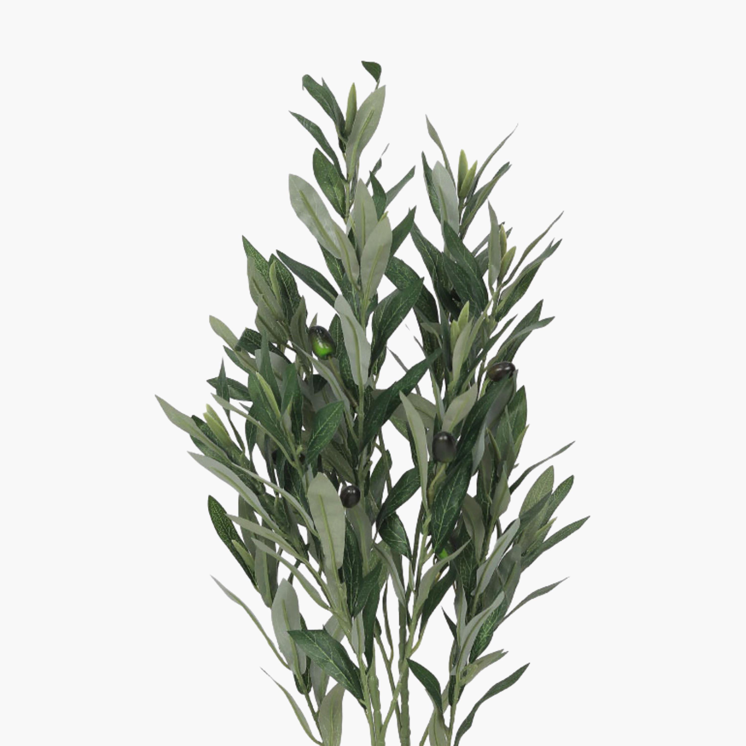 نبتة زيتون صناعية في أصيص من ماريا هومز-household-gardenandoutdoor-artificialflowersandplants-flowers-image-3
