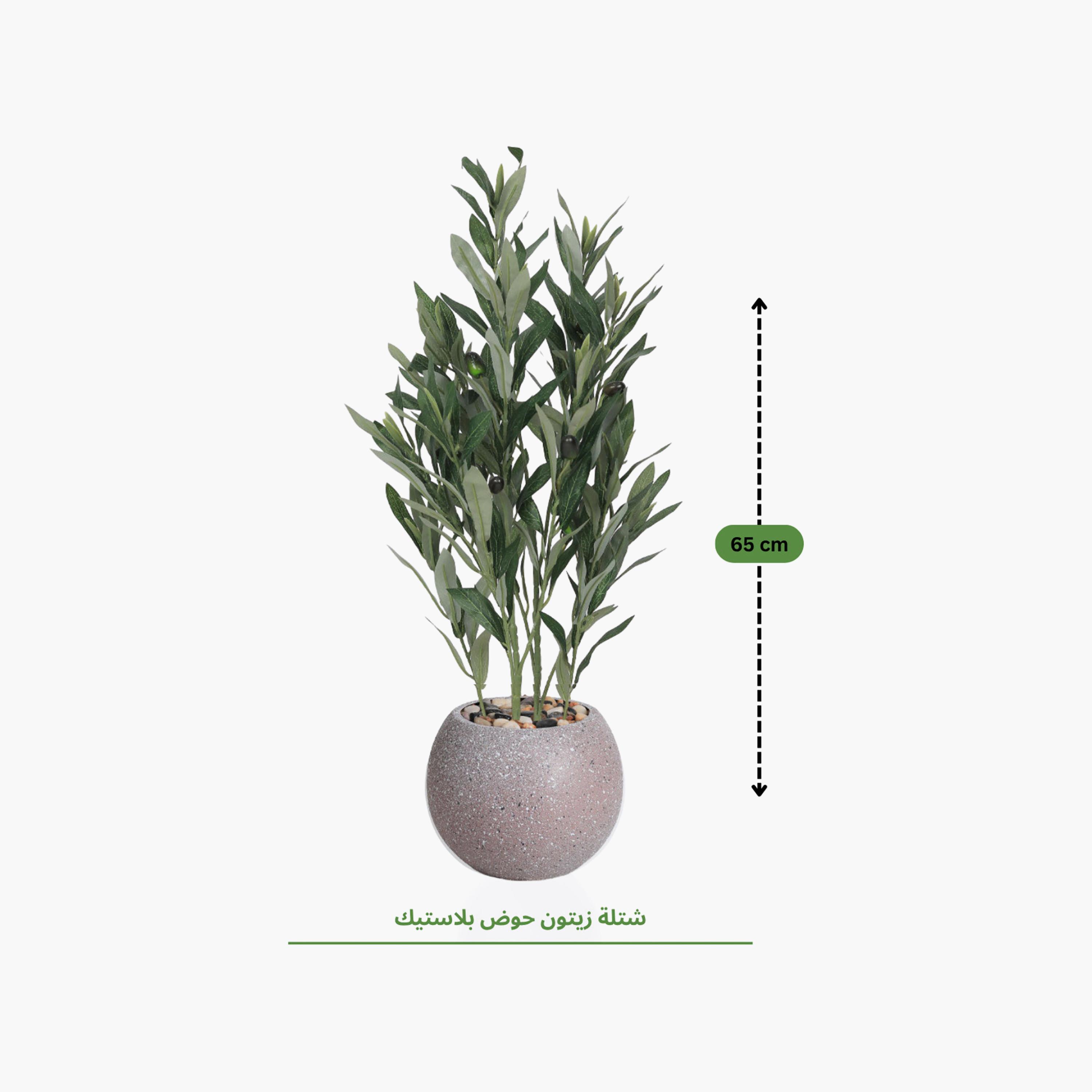 نبتة زيتون صناعية في أصيص من ماريا هومز-household-gardenandoutdoor-artificialflowersandplants-flowers-image-4