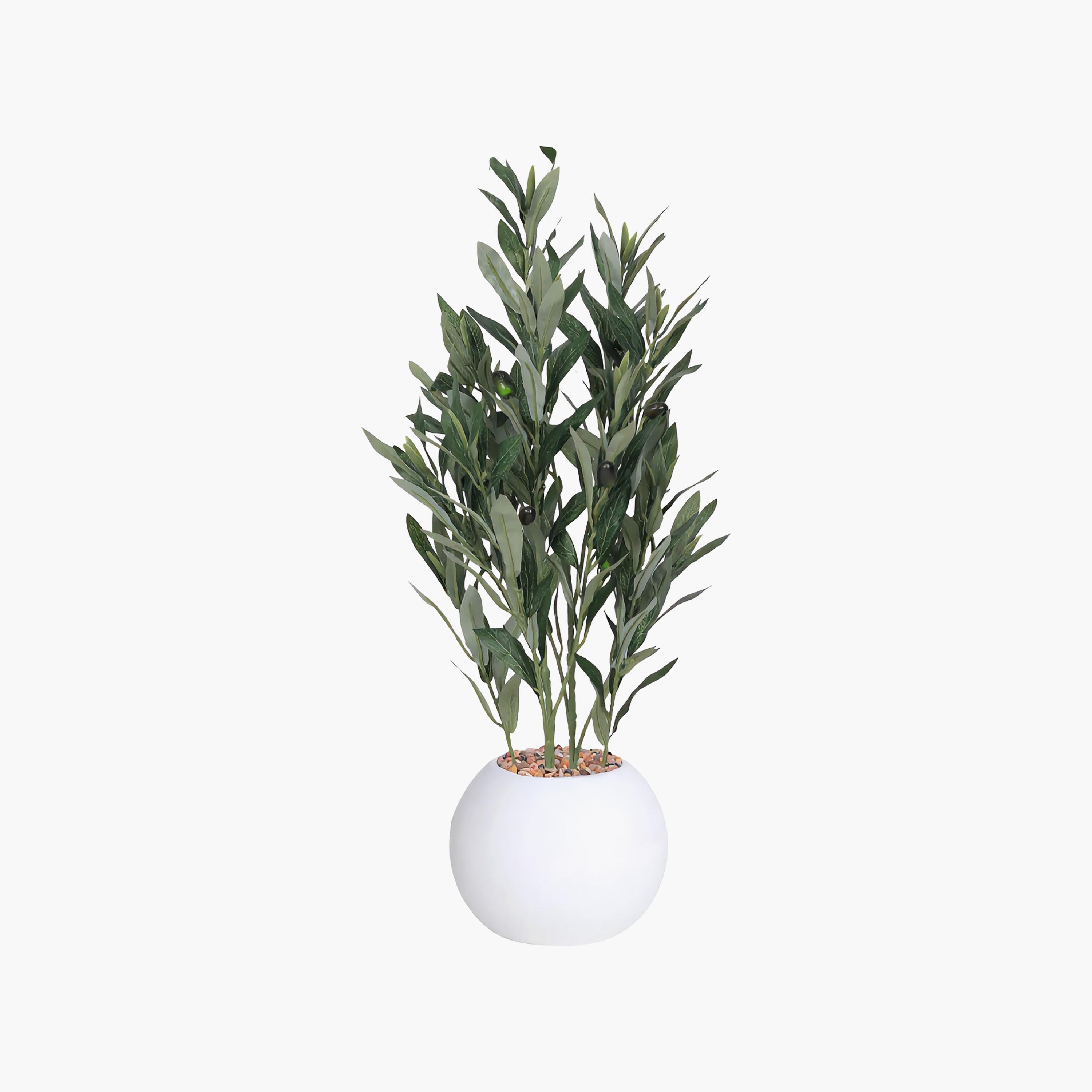 نبتة زيتون صناعية في أصيص من ماريا هومز-household-gardenandoutdoor-artificialflowersandplants-flowers-image-2