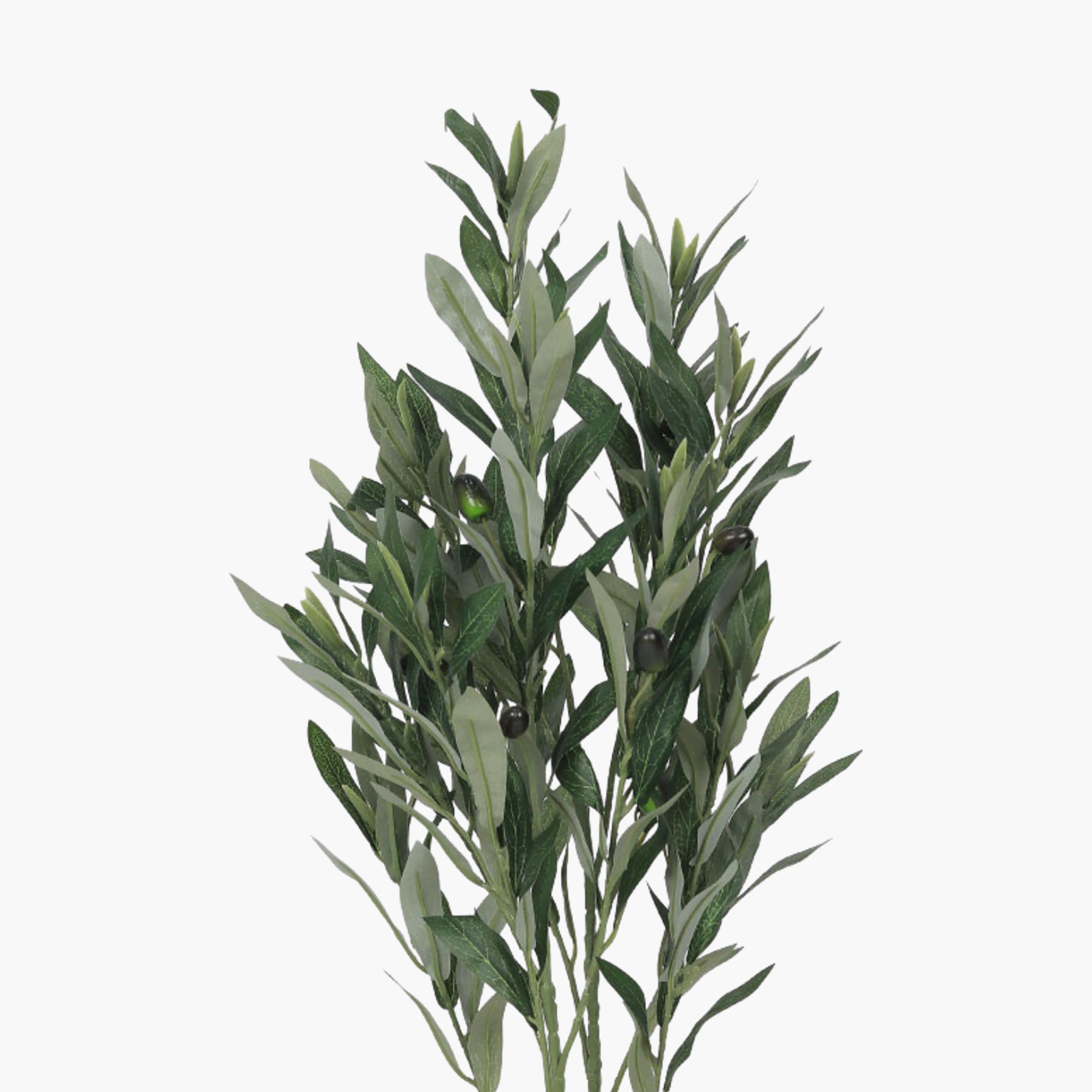نبتة زيتون صناعية في أصيص من ماريا هومز-household-gardenandoutdoor-artificialflowersandplants-flowers-image-3
