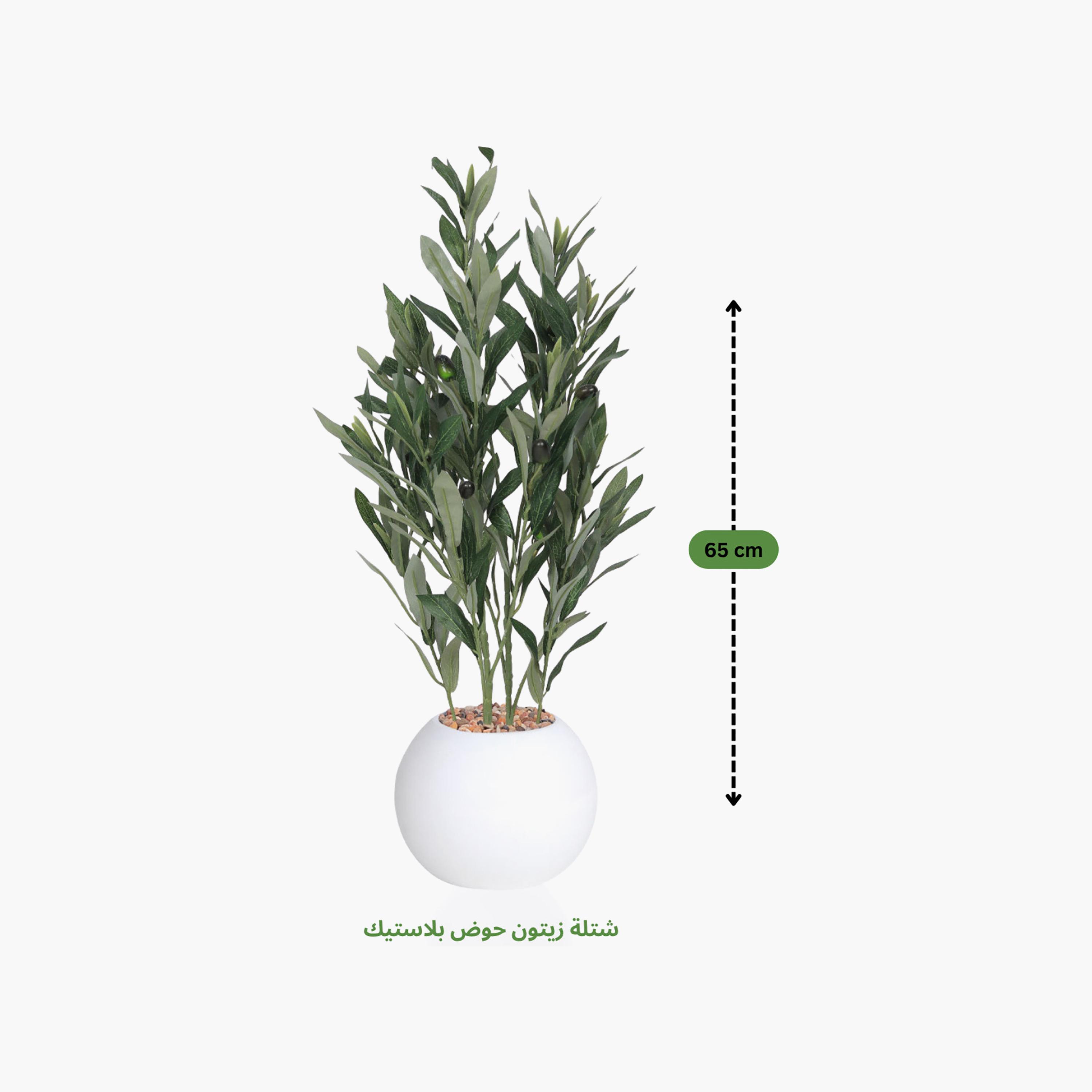 نبتة زيتون صناعية في أصيص من ماريا هومز-household-gardenandoutdoor-artificialflowersandplants-flowers-image-4