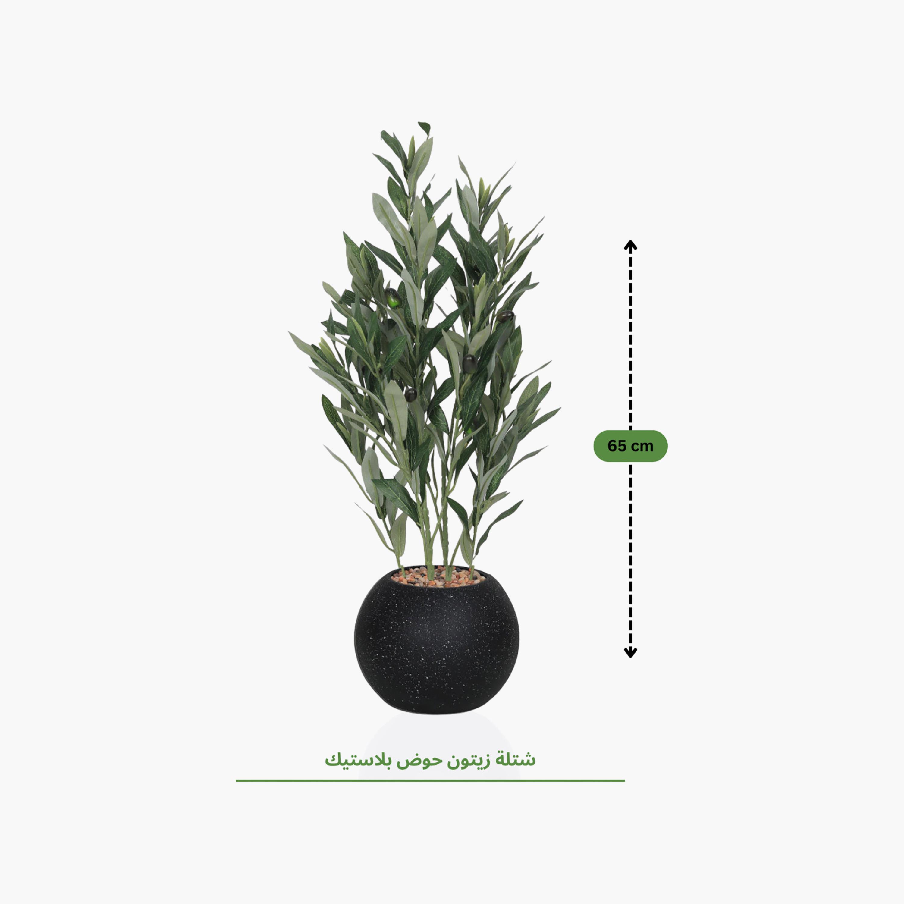 نبتة زيتون صناعية في أصيص من ماريا هومز-household-gardenandoutdoor-artificialflowersandplants-flowers-image-4