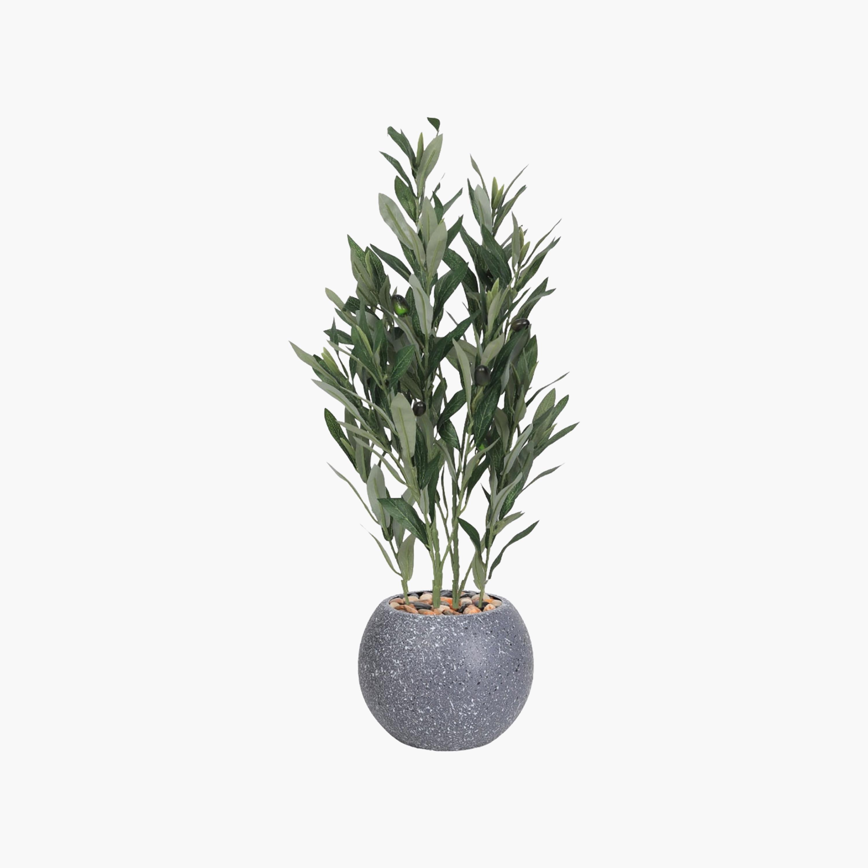 نبتة زيتون صناعية في أصيص من ماريا هومز-household-gardenandoutdoor-artificialflowersandplants-flowers-image-2