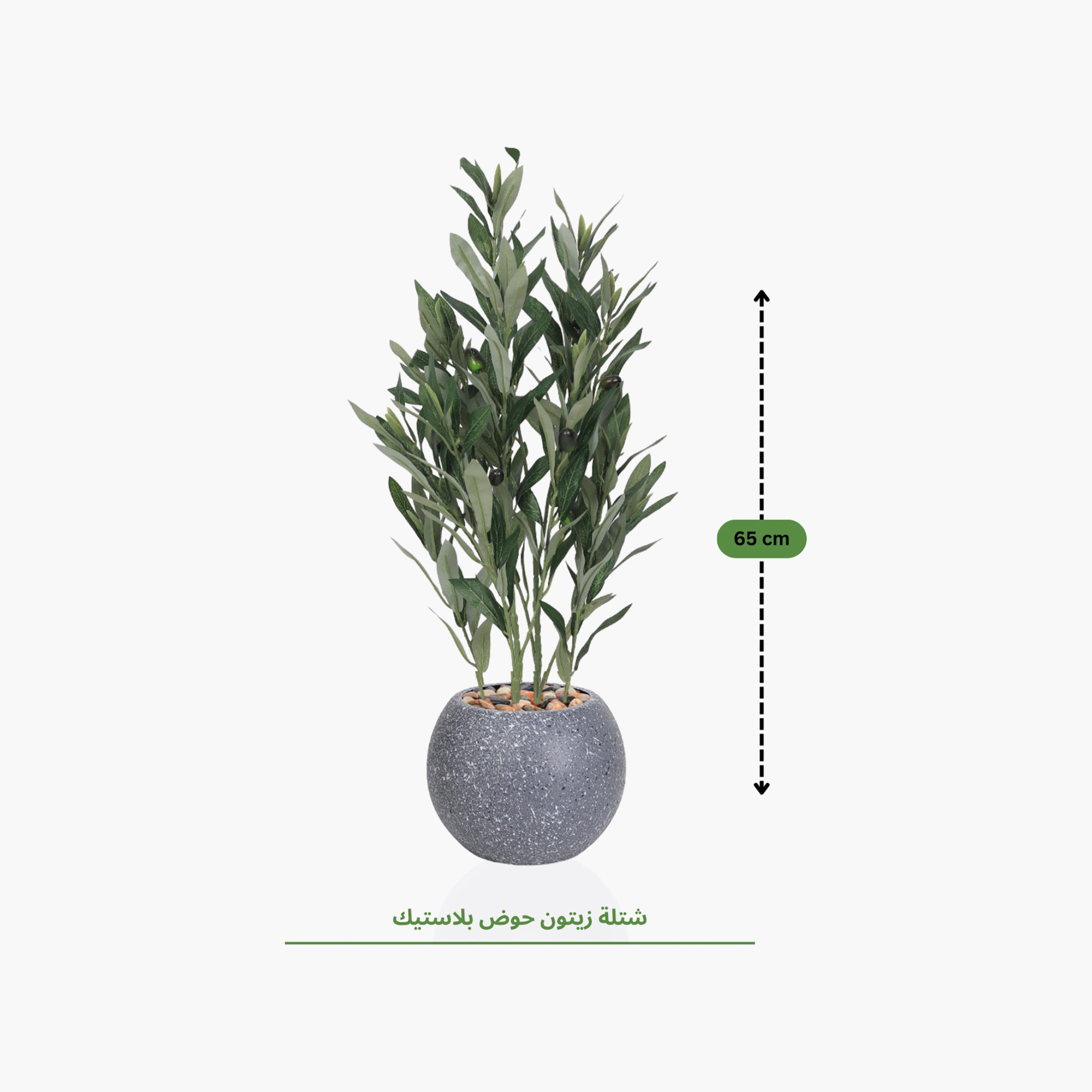 نبتة زيتون صناعية في أصيص من ماريا هومز-household-gardenandoutdoor-artificialflowersandplants-flowers-image-4